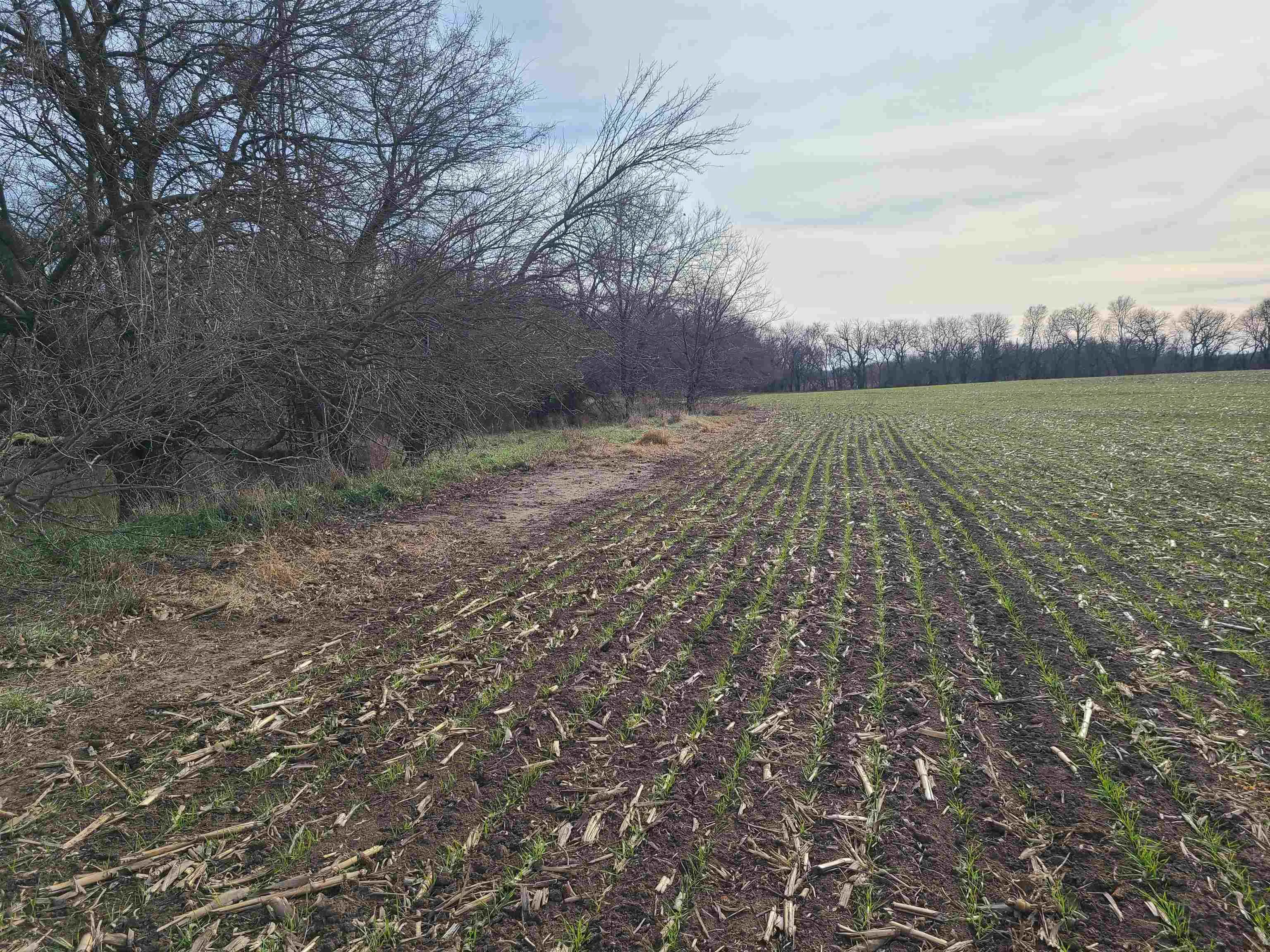 Udall, Kansas 67146, United States, ,Residential,Active,253071