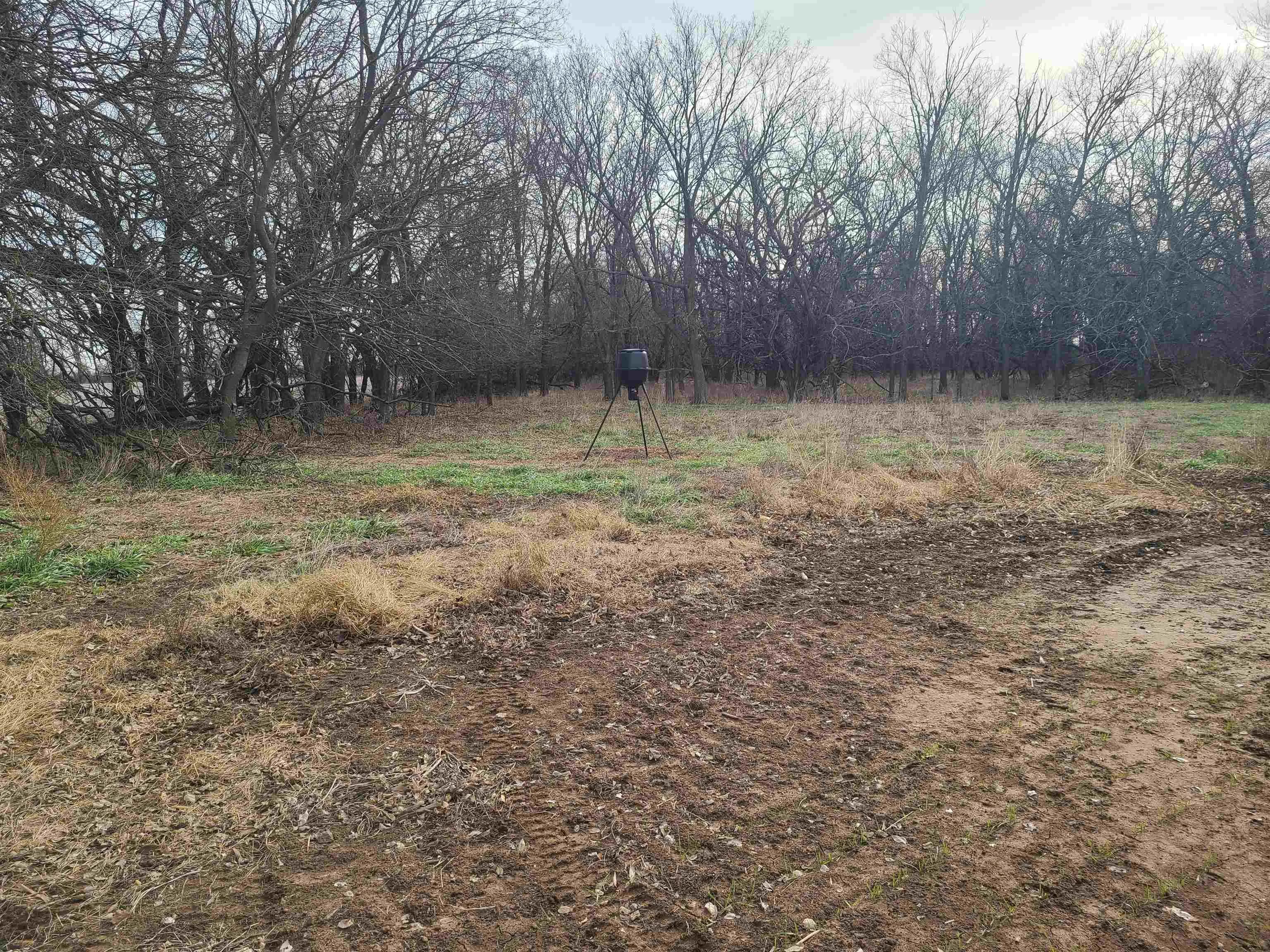 Udall, Kansas 67146, United States, ,Residential,Active,253071