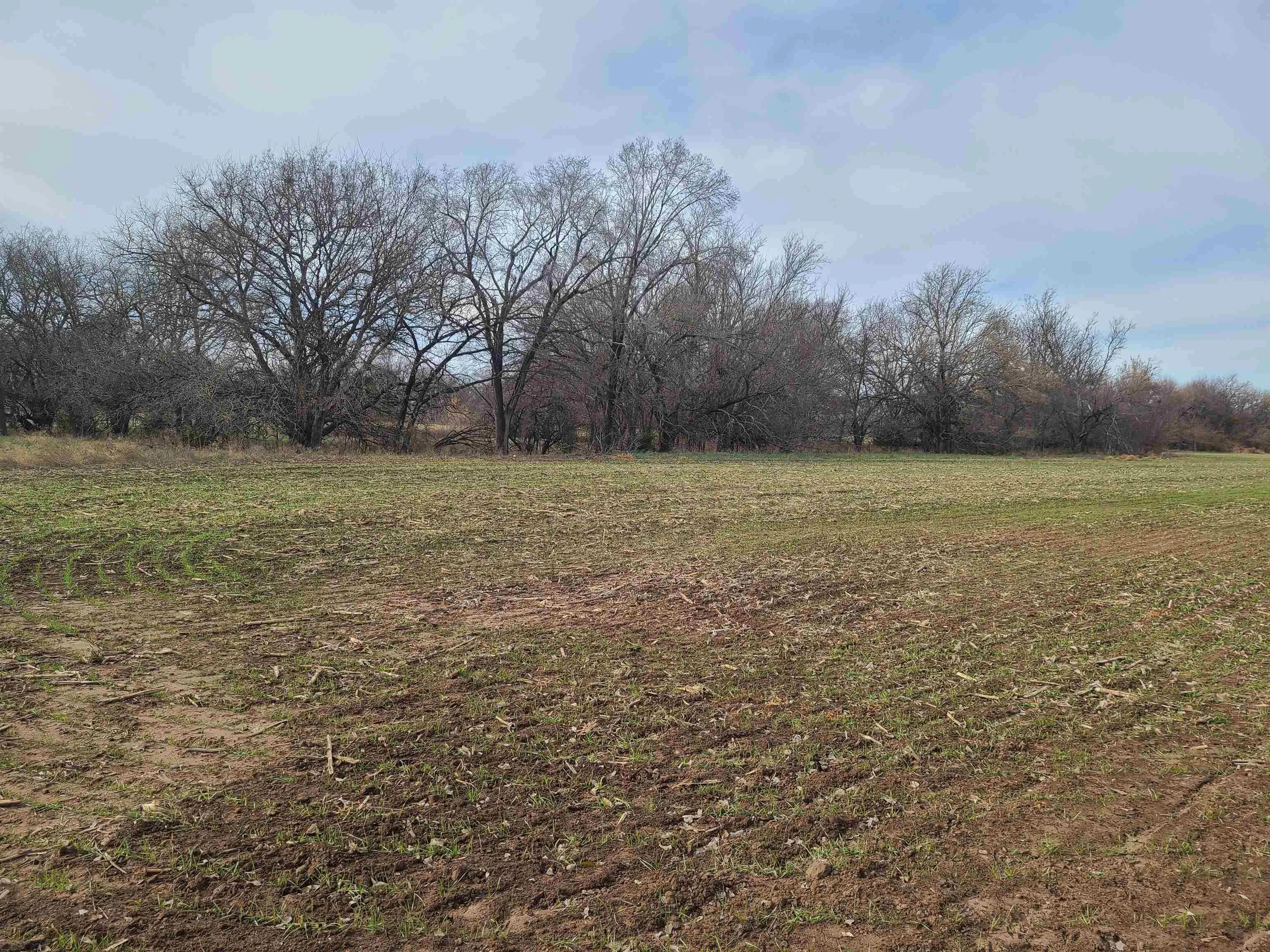 Udall, Kansas 67146, United States, ,Residential,Active,253071