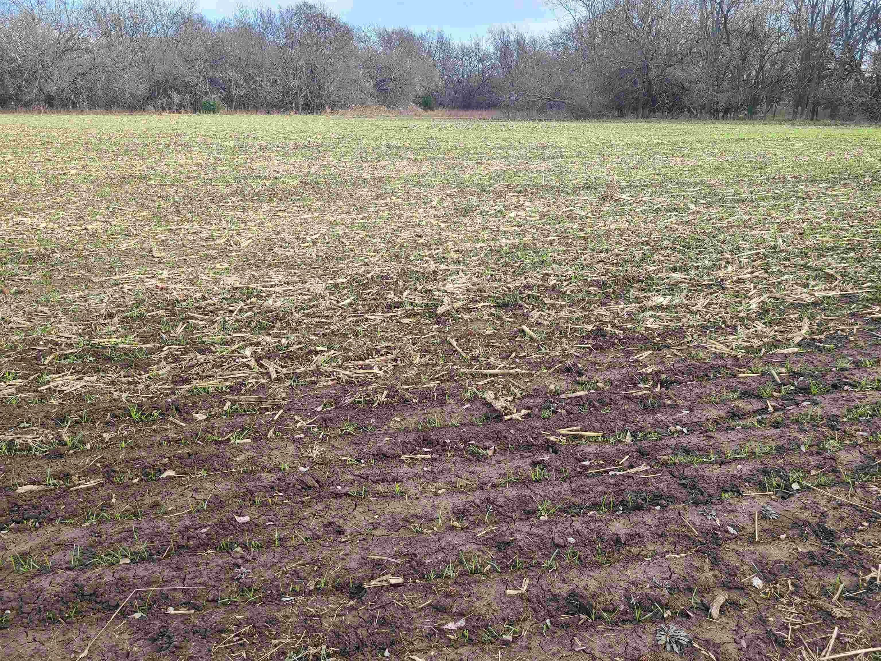 Udall, Kansas 67146, United States, ,Residential,Active,253071