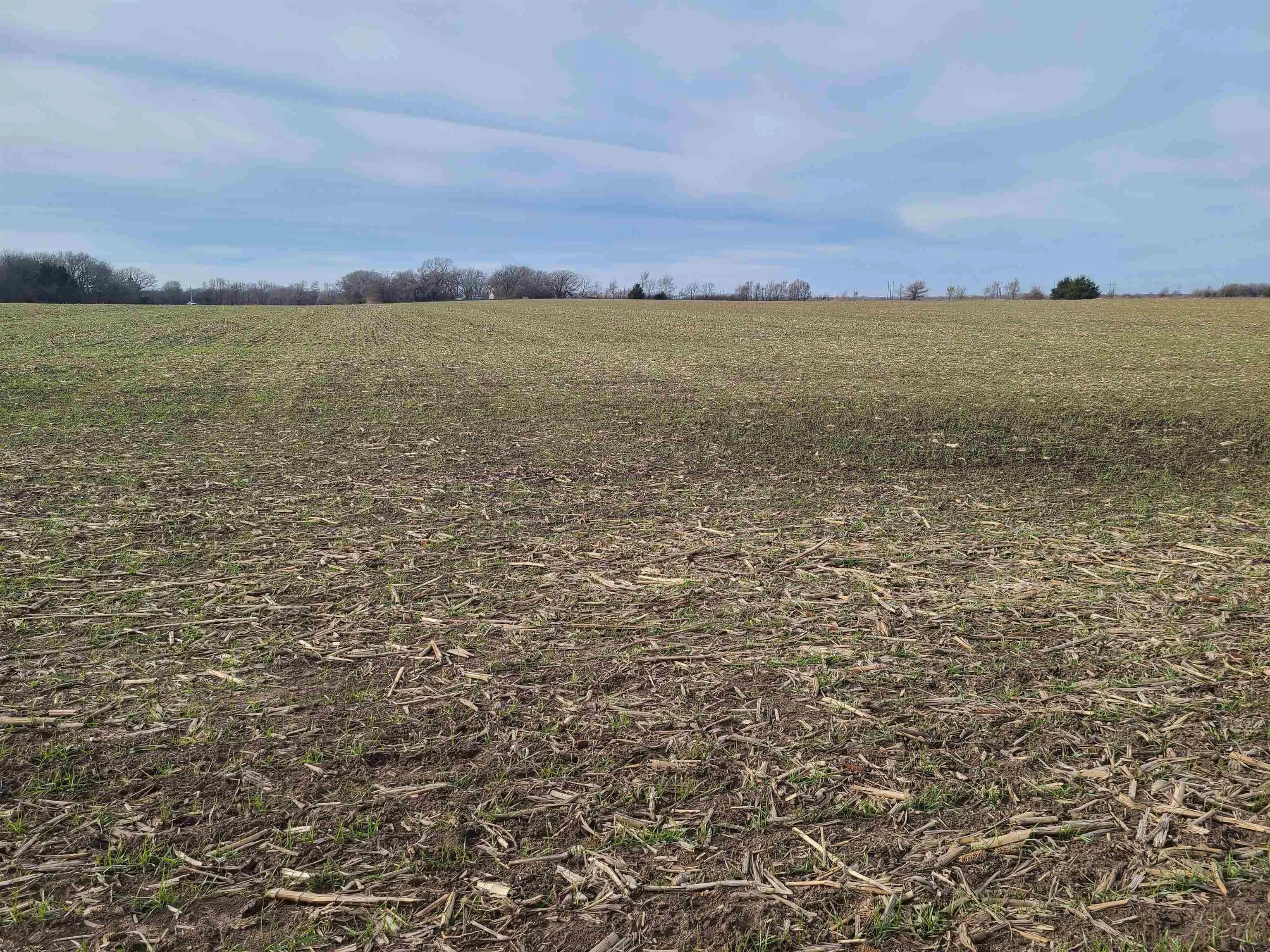 Udall, Kansas 67146, United States, ,Residential,Active,253071