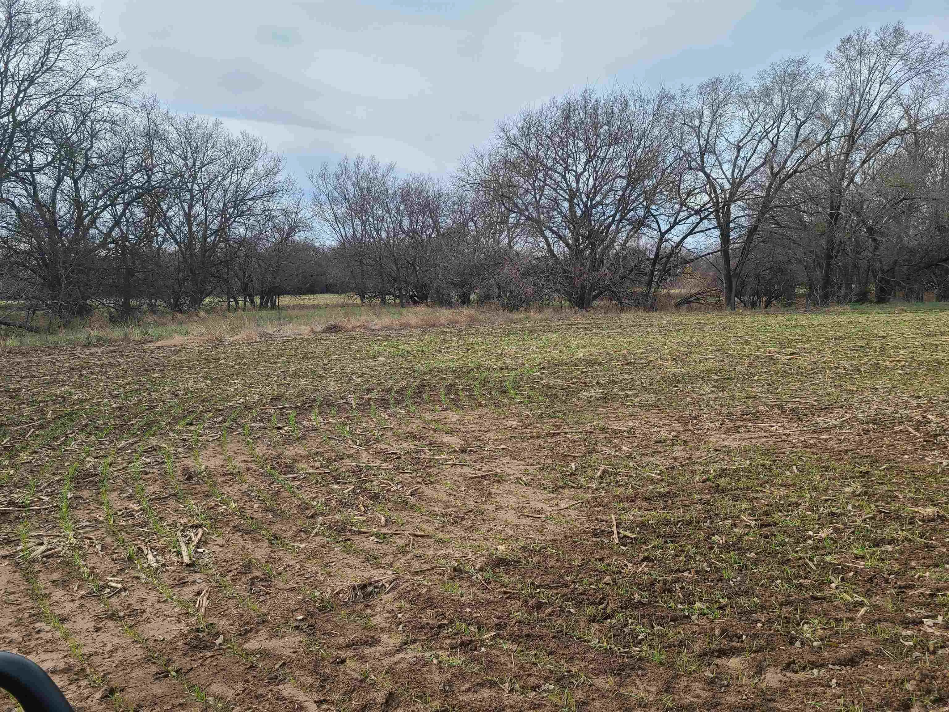 Udall, Kansas 67146, United States, ,Residential,Active,253071