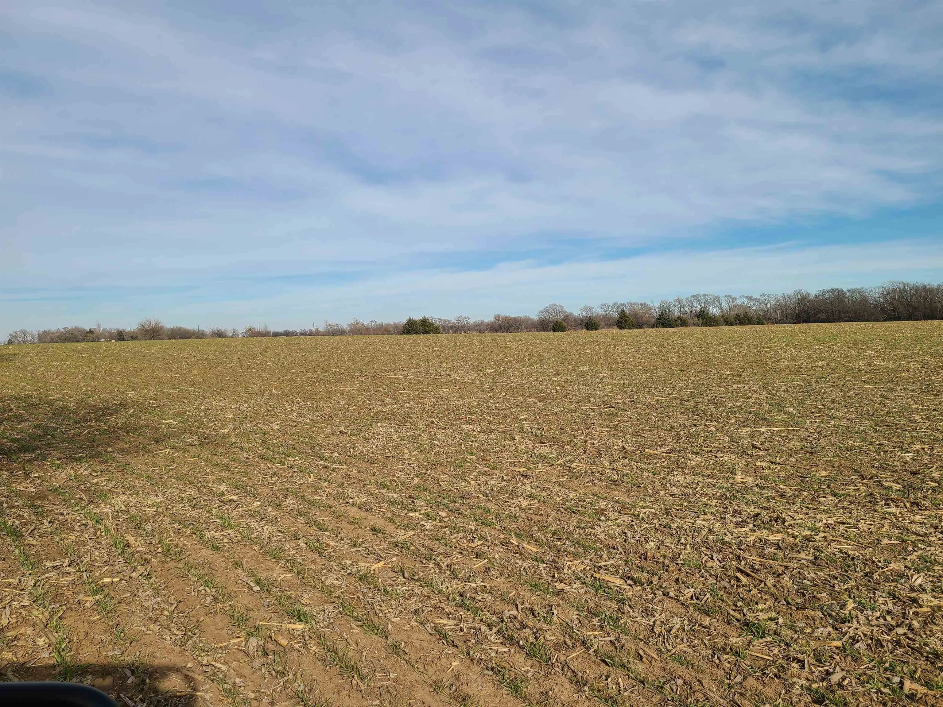 Udall, Kansas 67146, United States, ,Residential,Active,253071