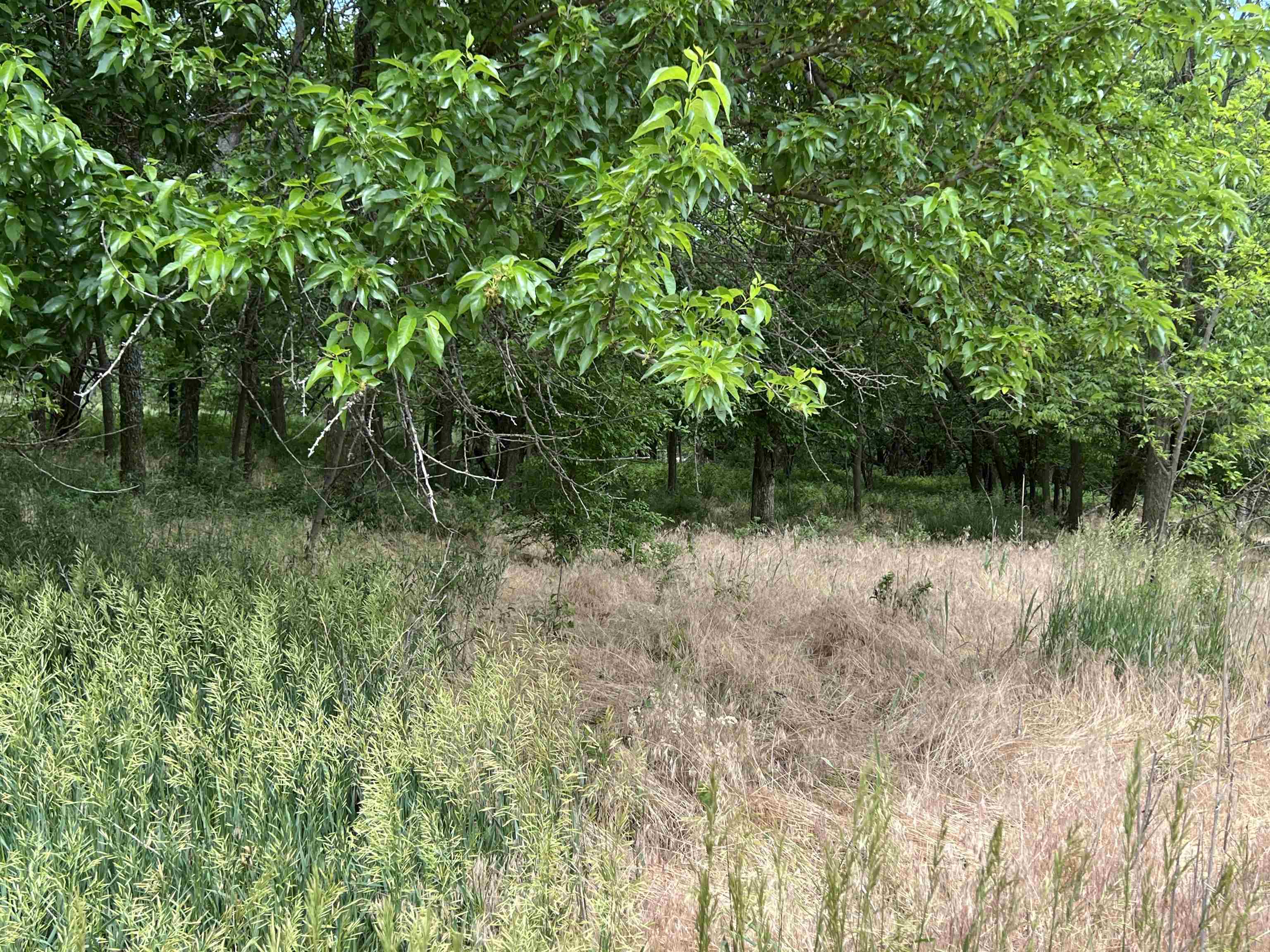 2693 SW 70th, El Dorado, Kansas image 24