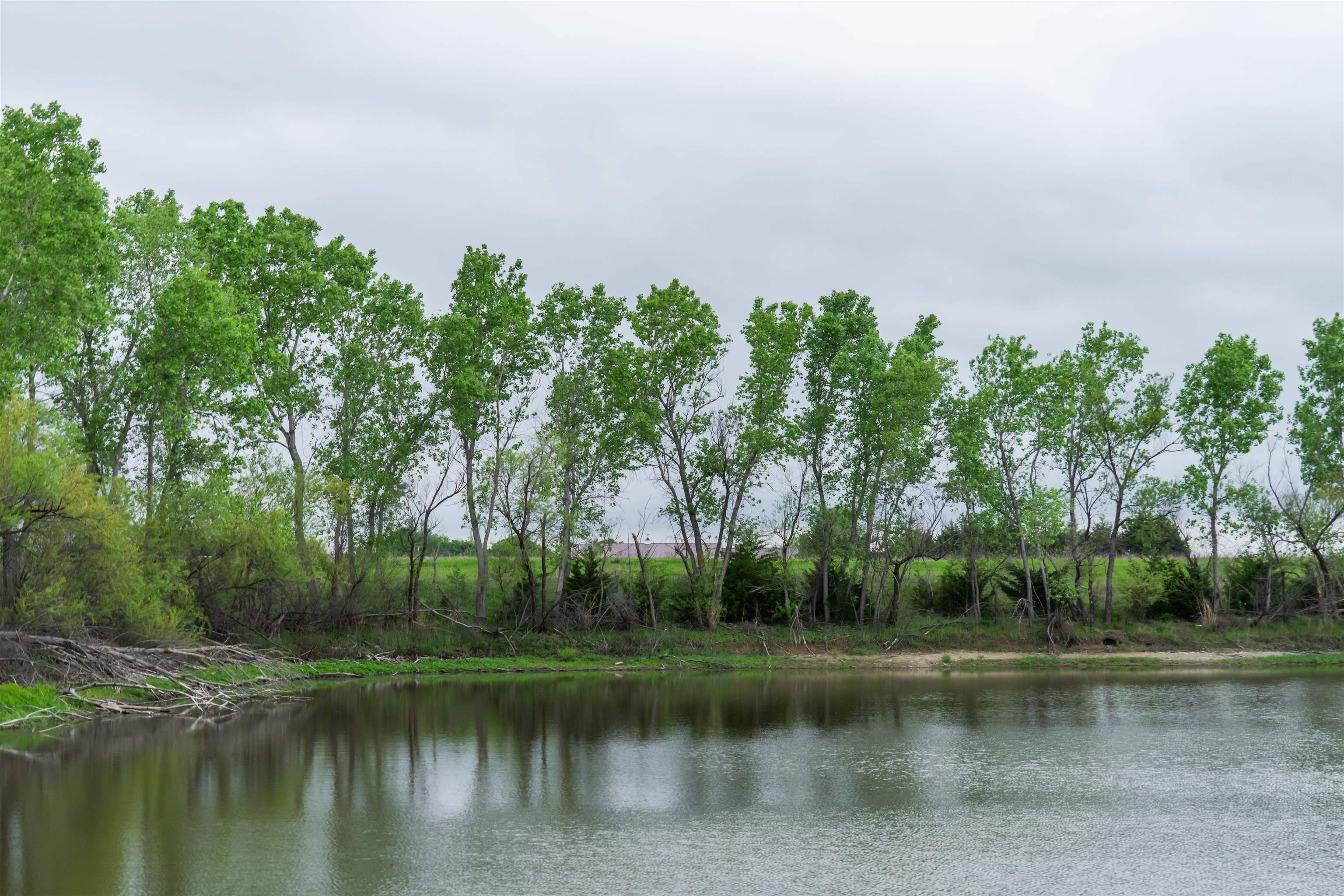 00000 S Seneca, Wellington, Kansas image 15