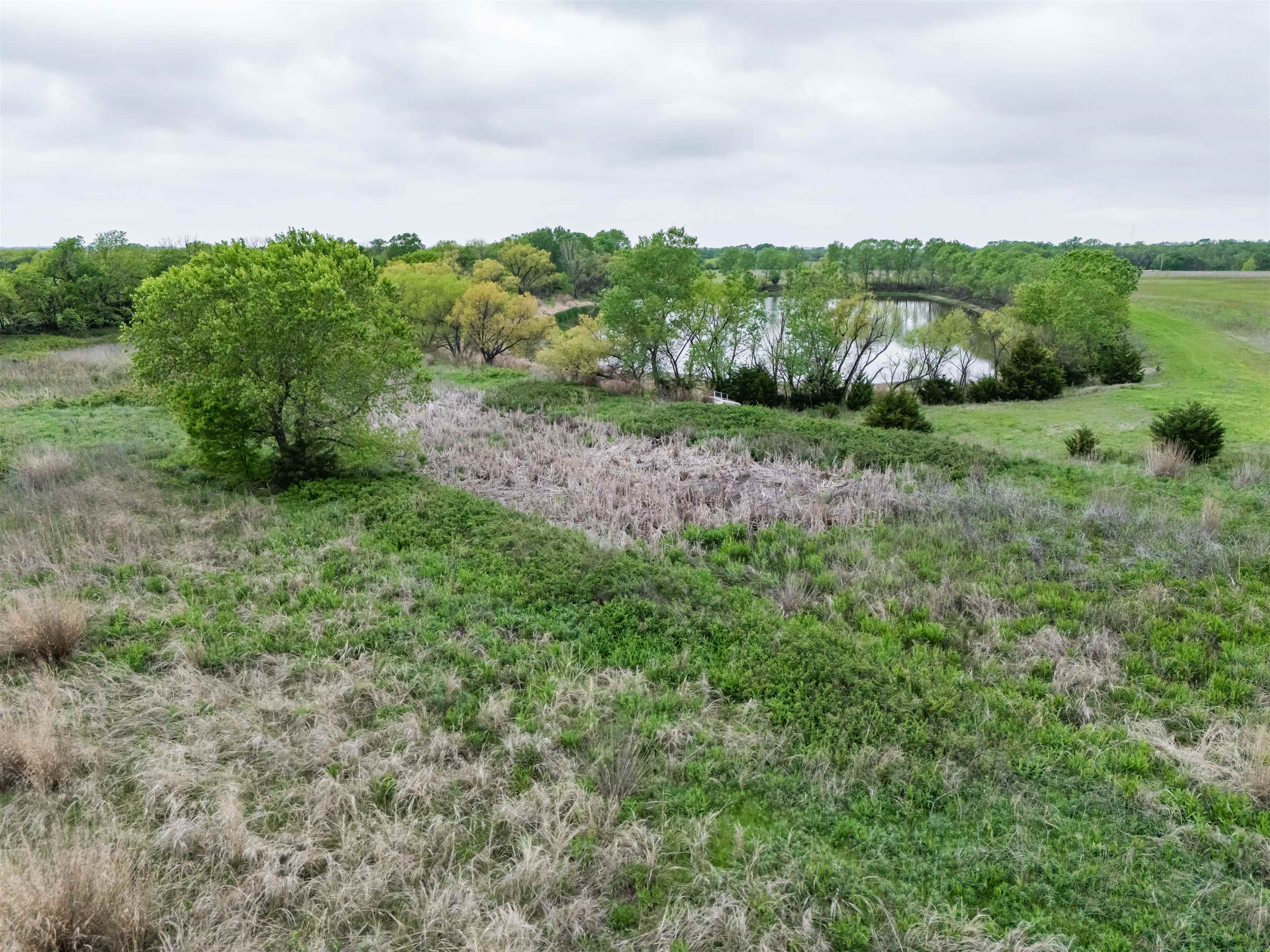 00000 S Seneca, Wellington, Kansas image 28