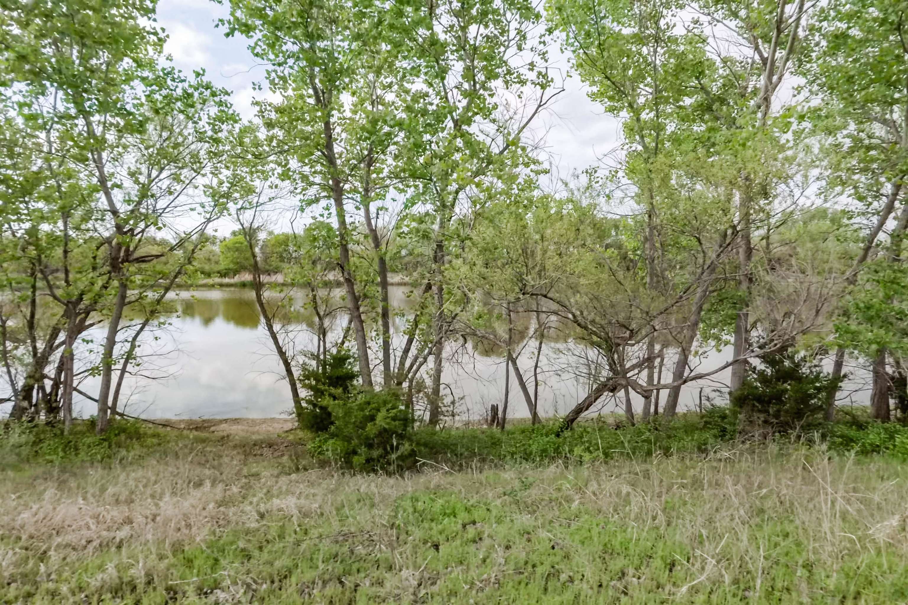 00000 S Seneca, Wellington, Kansas image 13