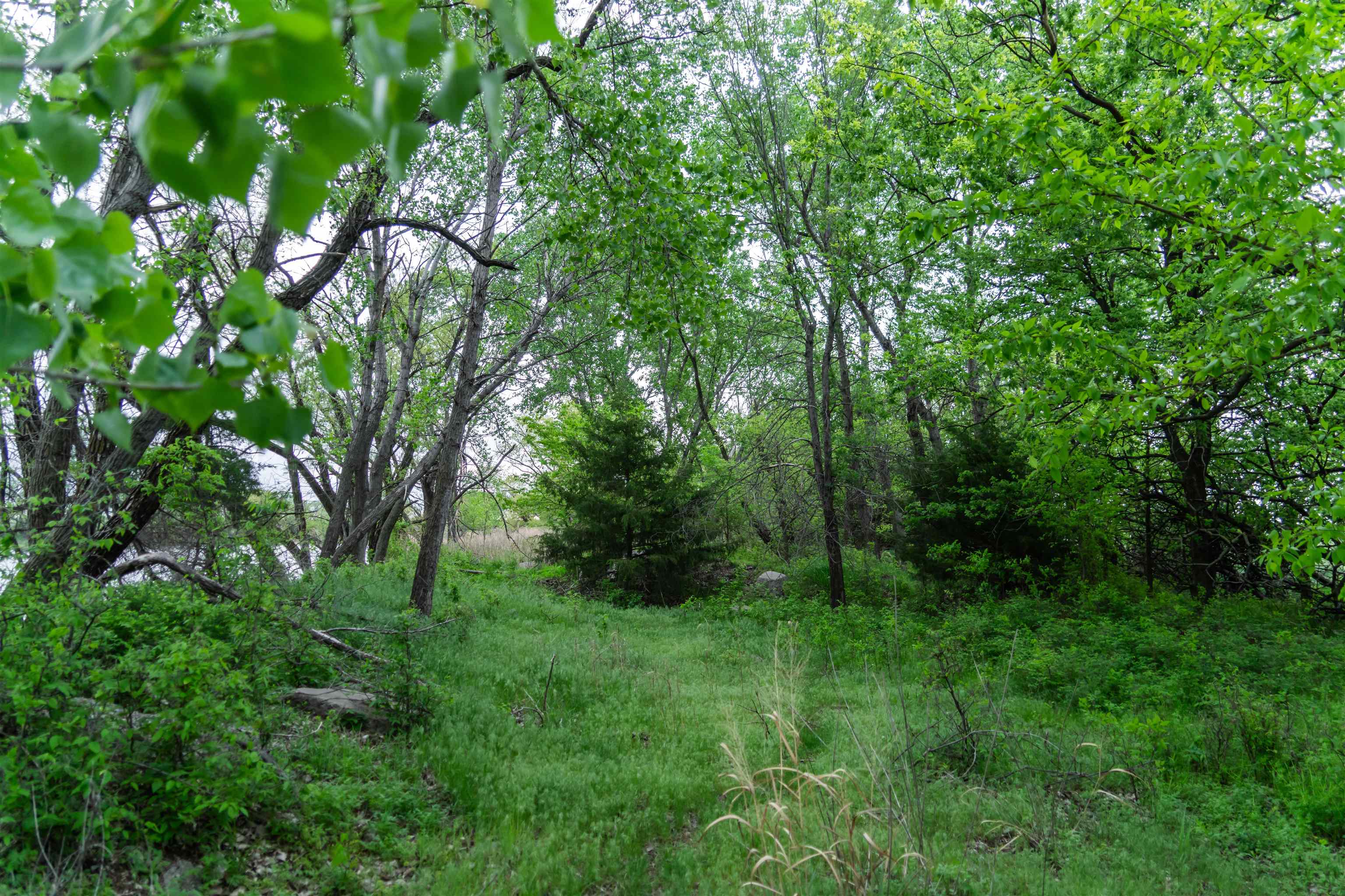 00000 S Seneca, Wellington, Kansas image 3