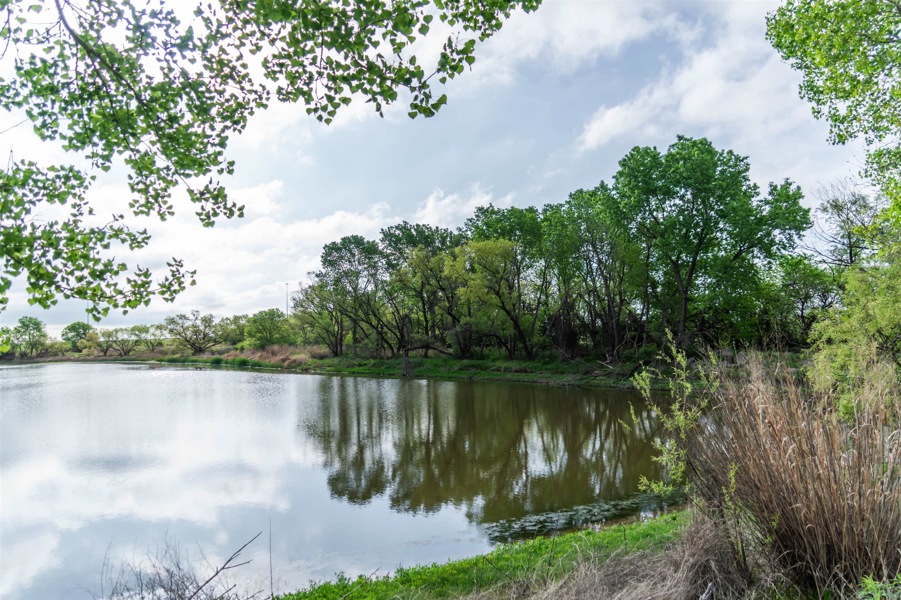 00000 S Seneca, Wellington, Kansas image 14