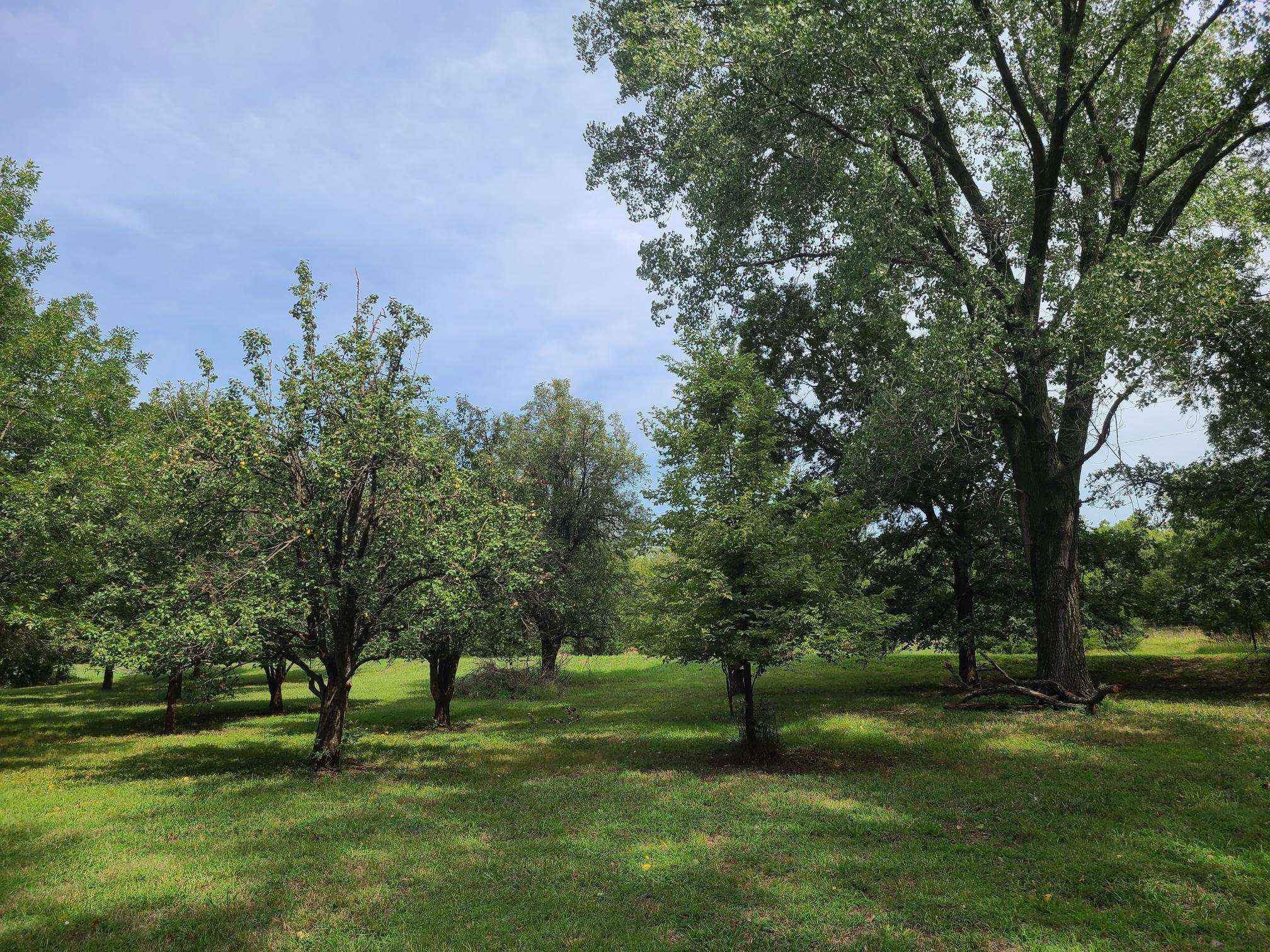 3164 51st Rd, Udall, Kansas image 34