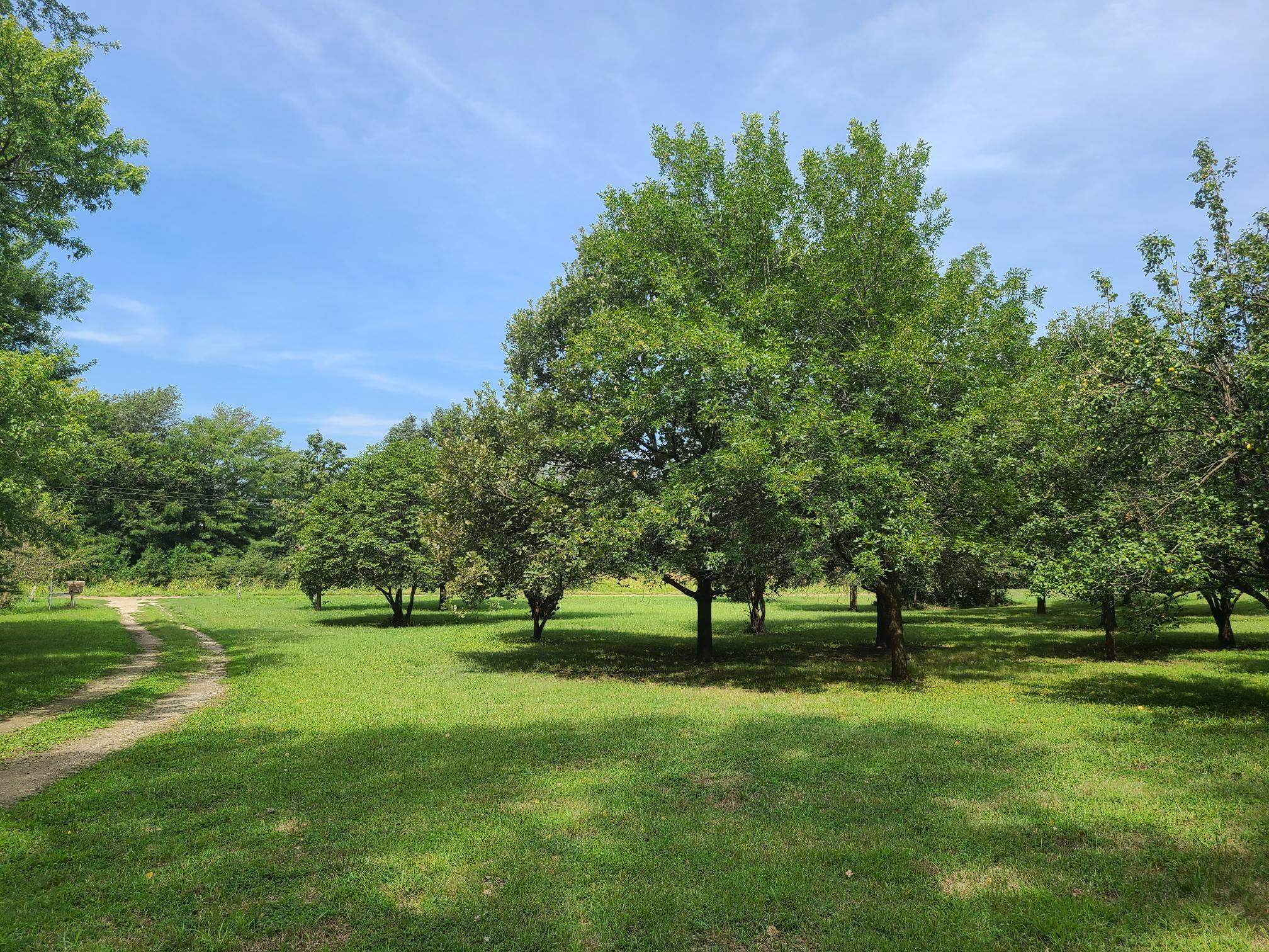 3164 51st Rd, Udall, Kansas image 35