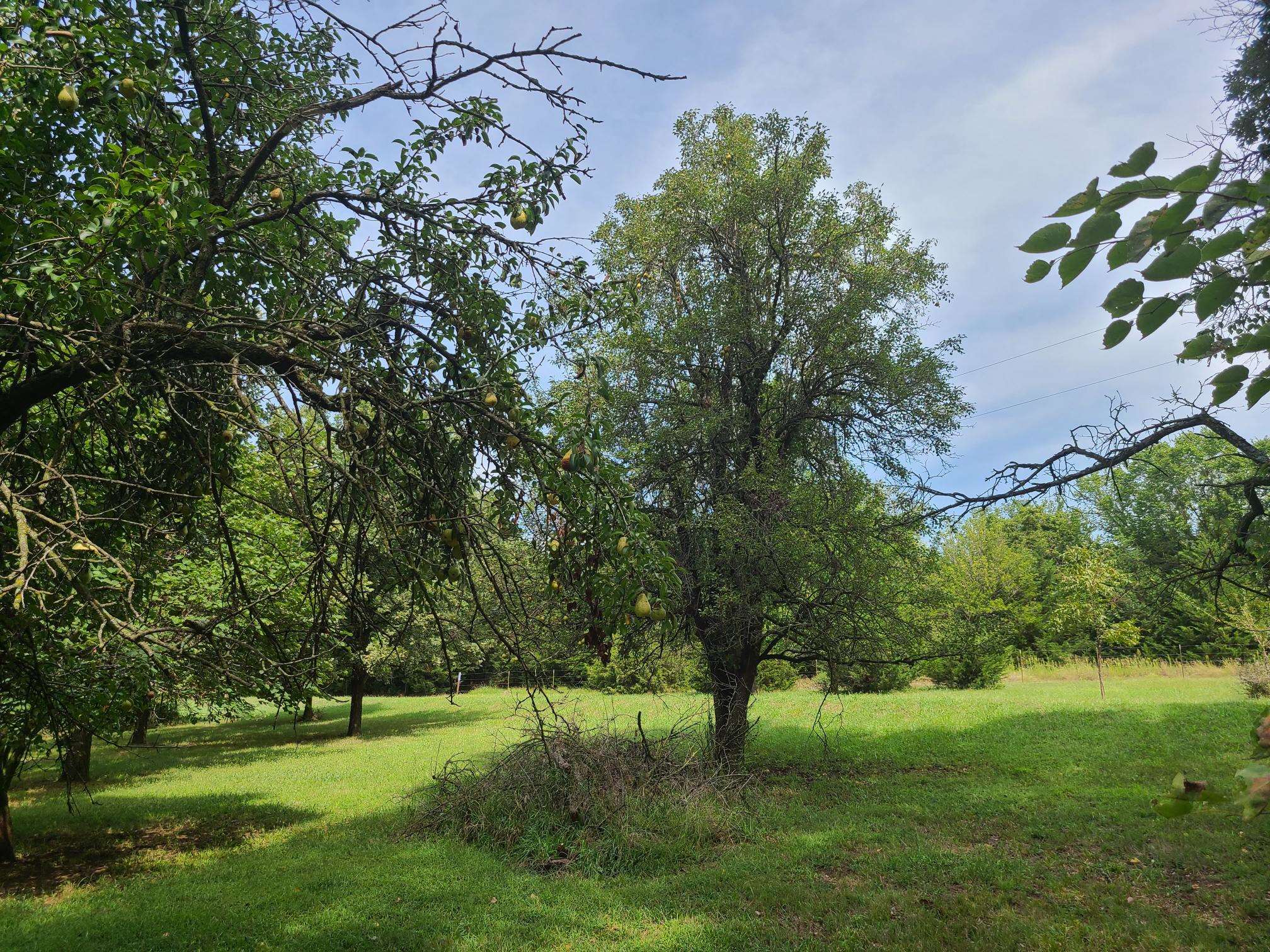 3164 51st Rd, Udall, Kansas image 4