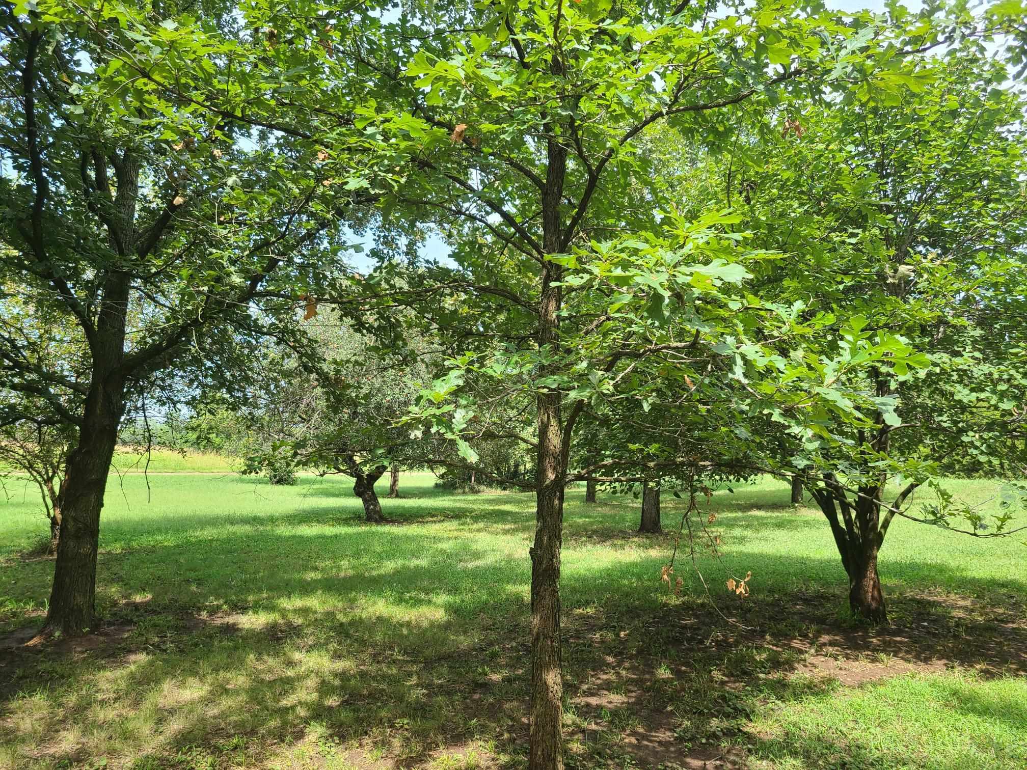 3164 51st Rd, Udall, Kansas image 3