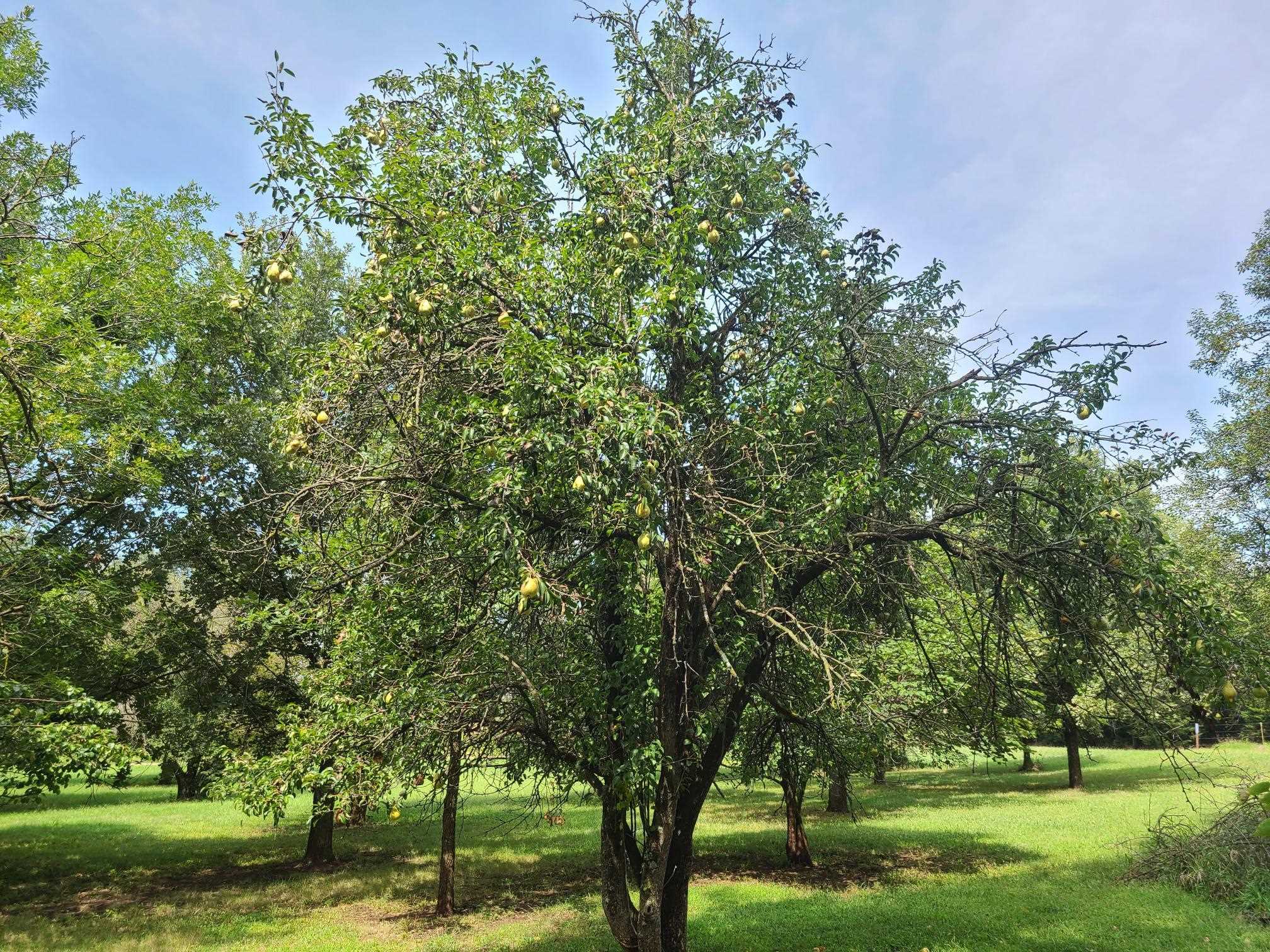 3164 51st Rd, Udall, Kansas image 29