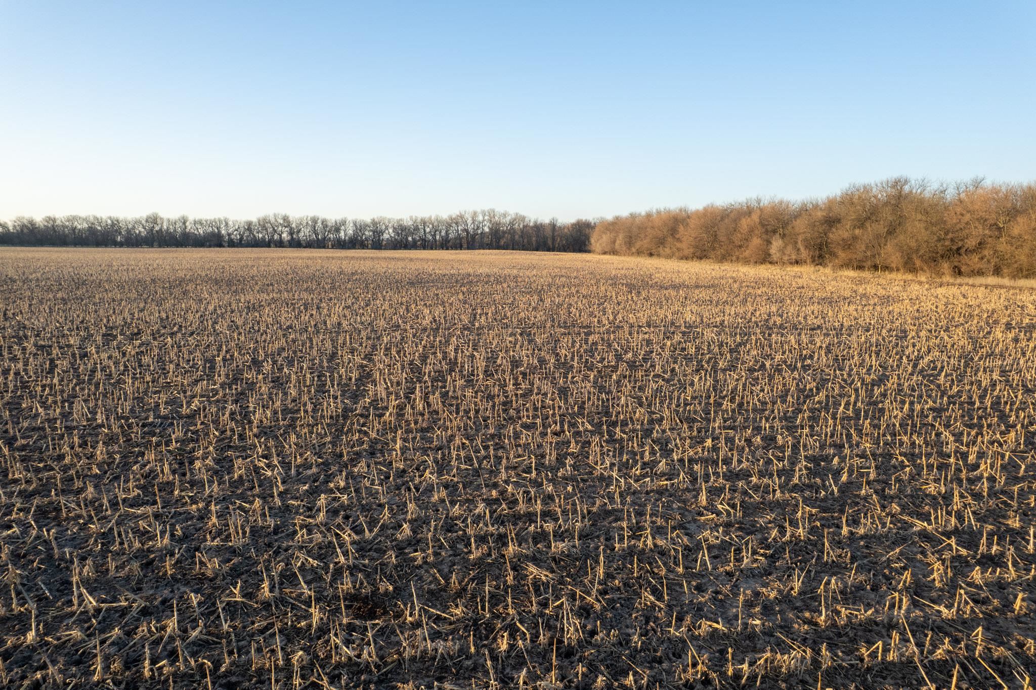 0000 N Hoover Rd, Halstead, Kansas image 24