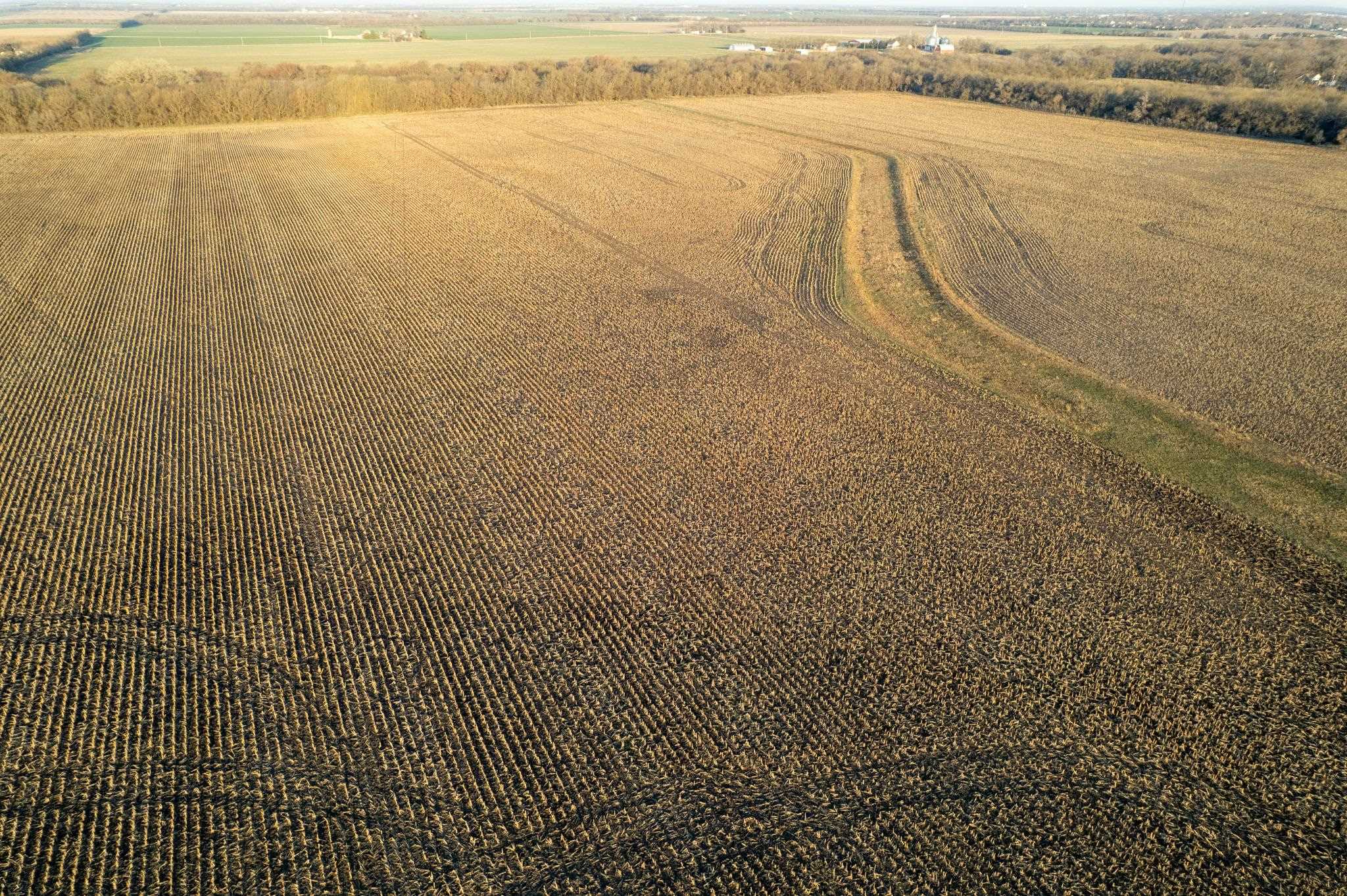 0000 N Hoover Rd, Halstead, Kansas image 31