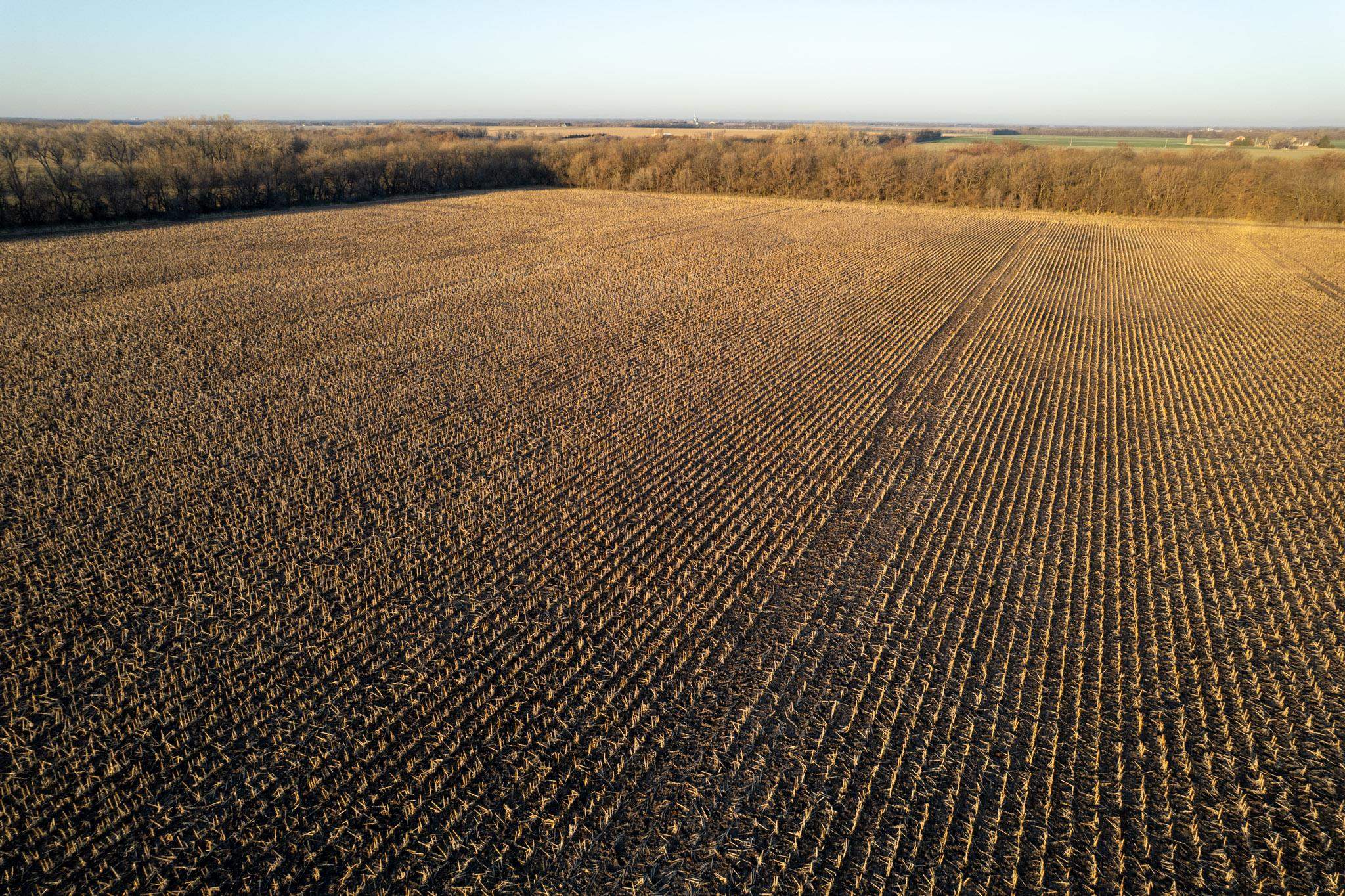 0000 N Hoover Rd, Halstead, Kansas image 30