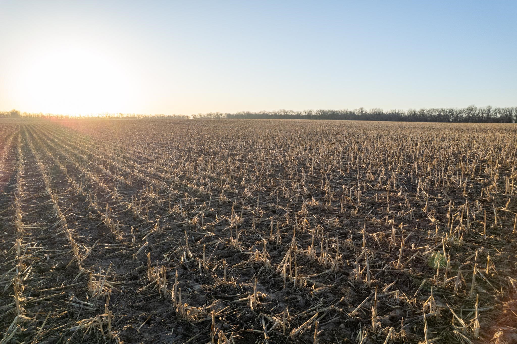 0000 N Hoover Rd, Halstead, Kansas image 25