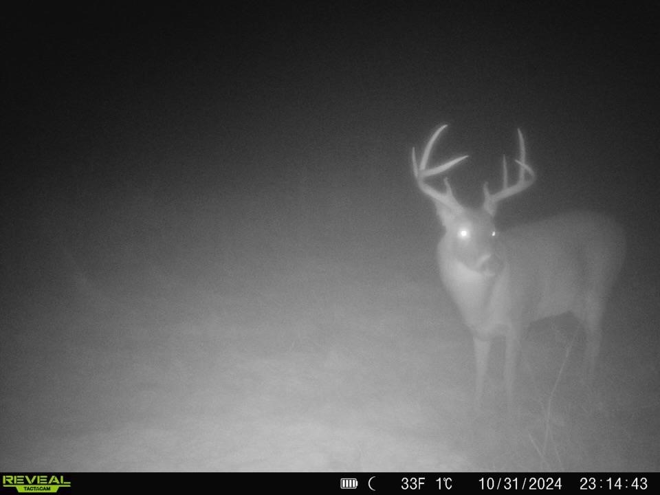 0000 N Clearwater Rd, Clearwater, Kansas image 8