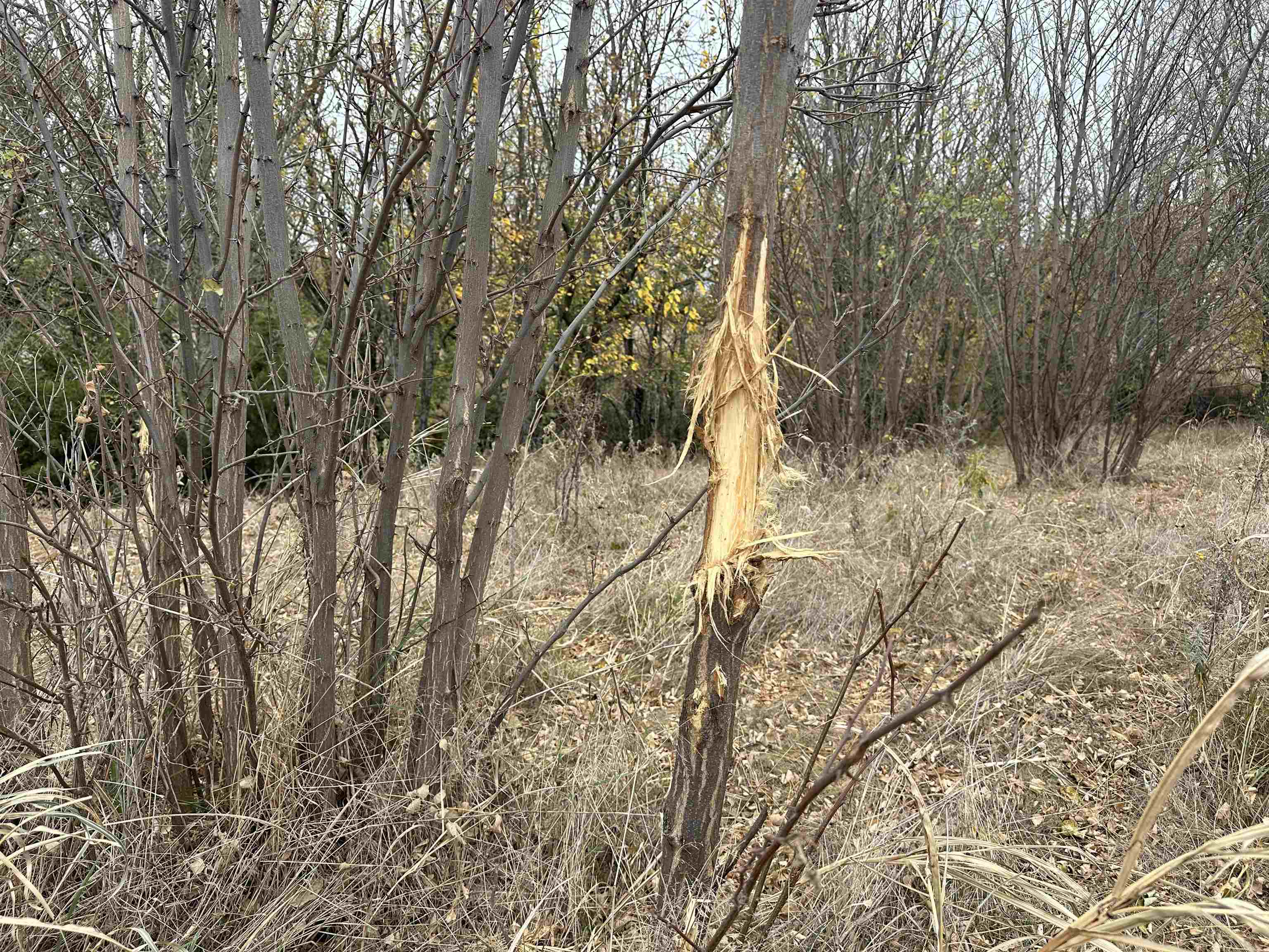 0000 N Clearwater Rd, Clearwater, Kansas image 13