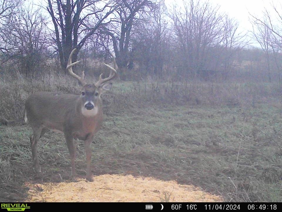 0000 N Clearwater Rd, Clearwater, Kansas image 9