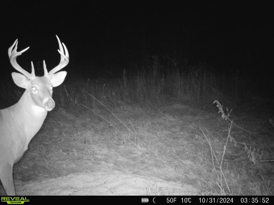 0000 N Clearwater Rd, Clearwater, Kansas image 18
