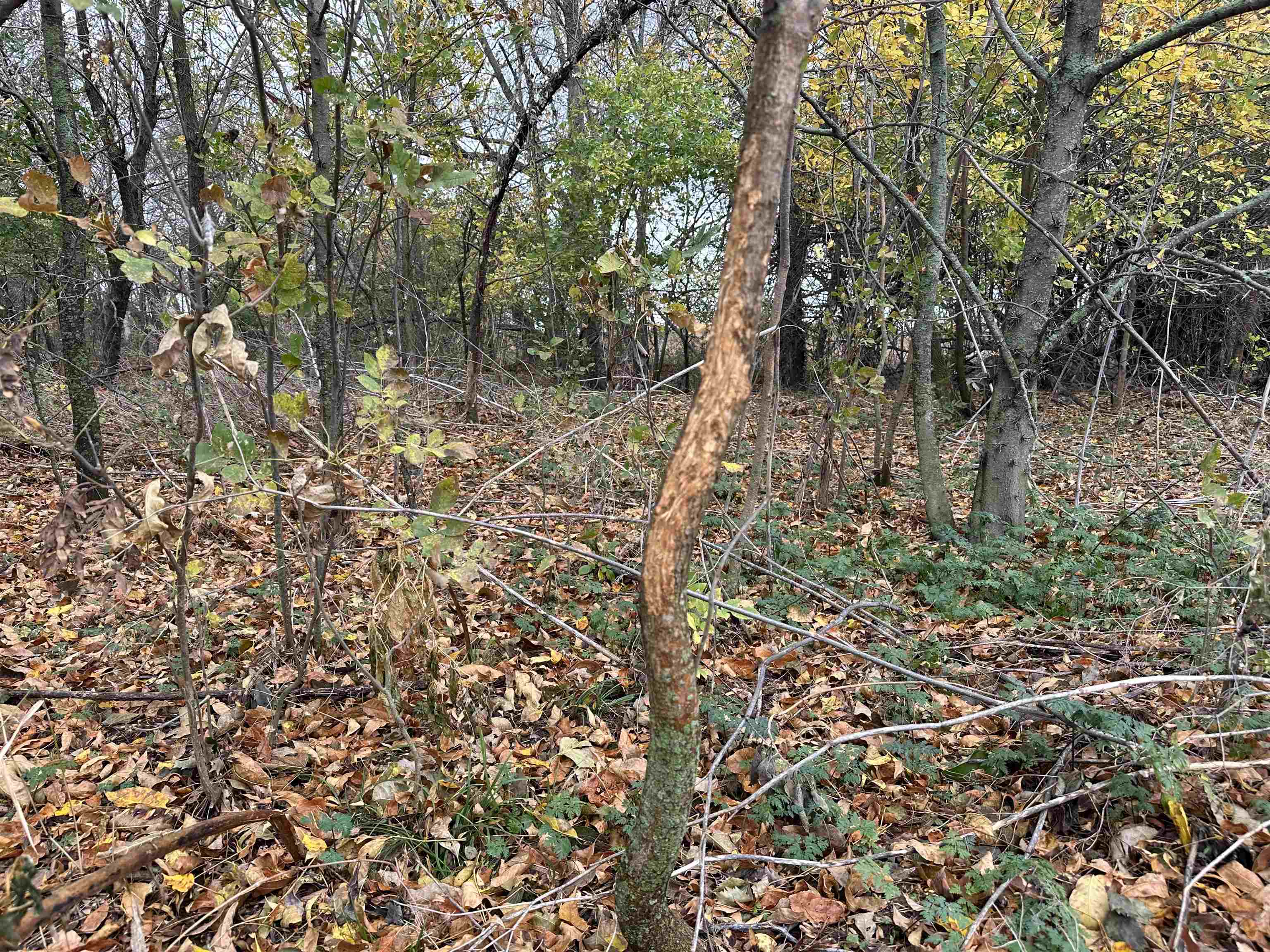 0000 N Clearwater Rd, Clearwater, Kansas image 16