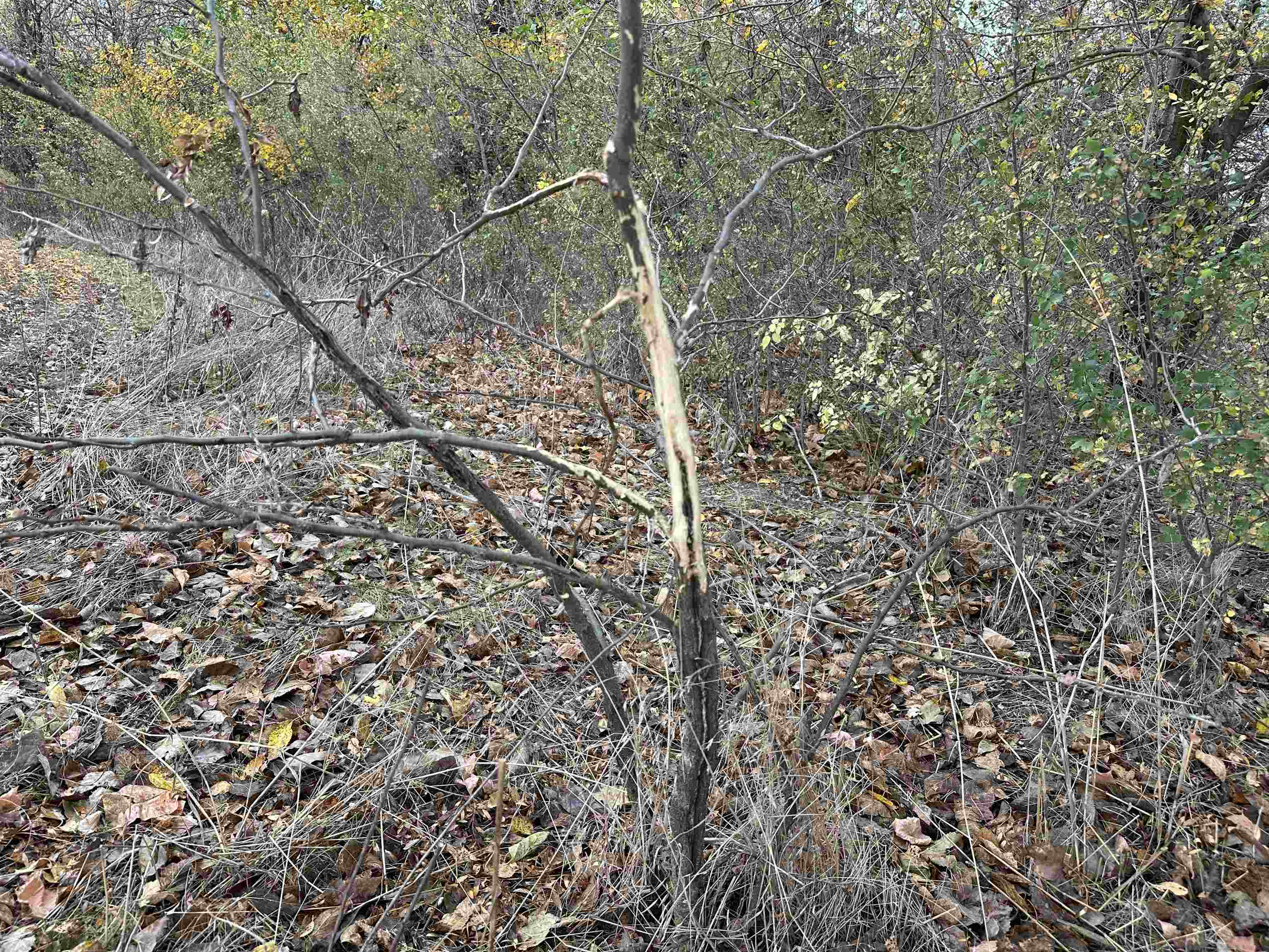 0000 N Clearwater Rd, Clearwater, Kansas image 17
