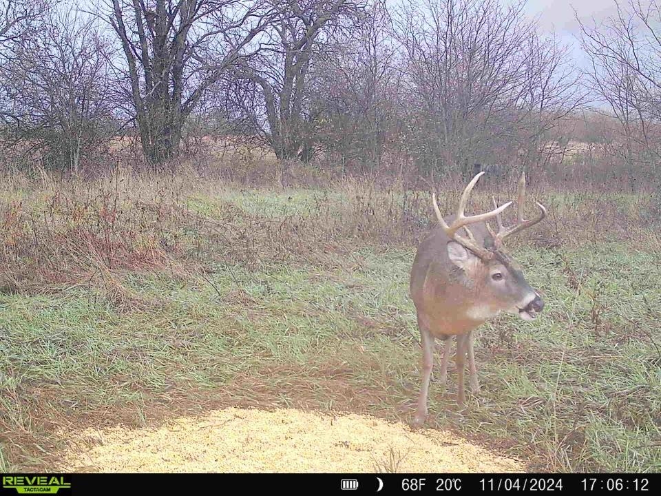 0000 N Clearwater Rd, Clearwater, Kansas image 10