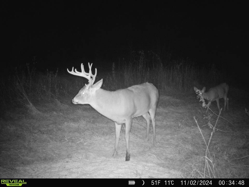 0000 N Clearwater Rd, Clearwater, Kansas image 7