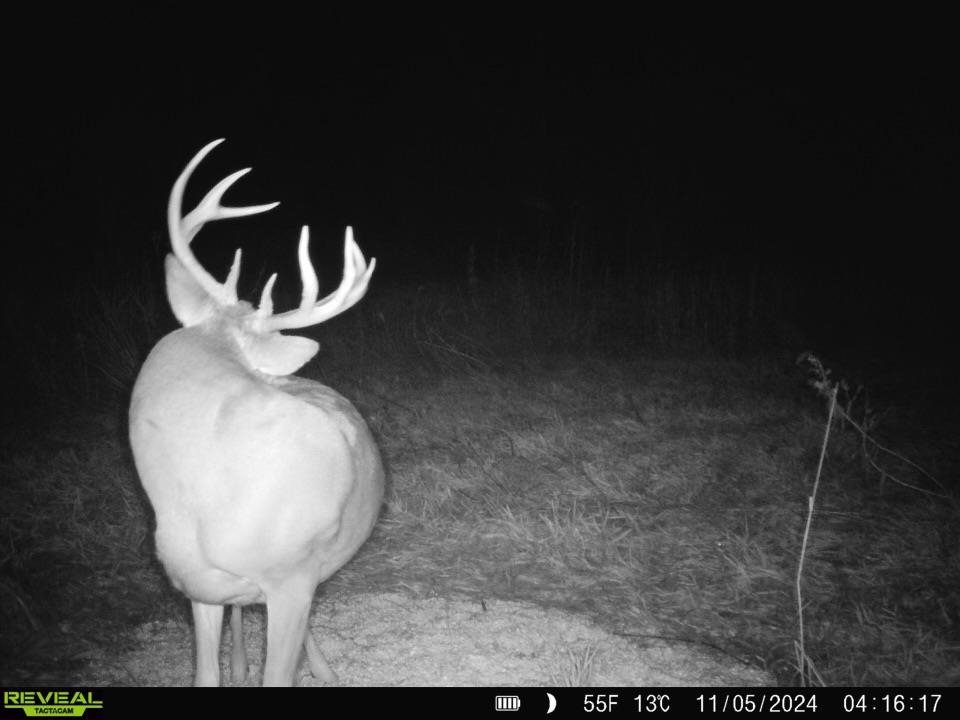 0000 N Clearwater Rd, Clearwater, Kansas image 19