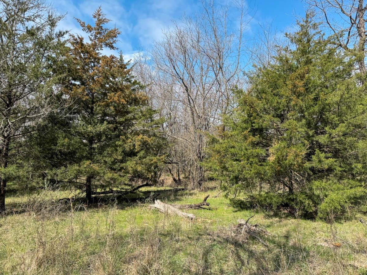 1565 255th St, Hamilton, Kansas image 14