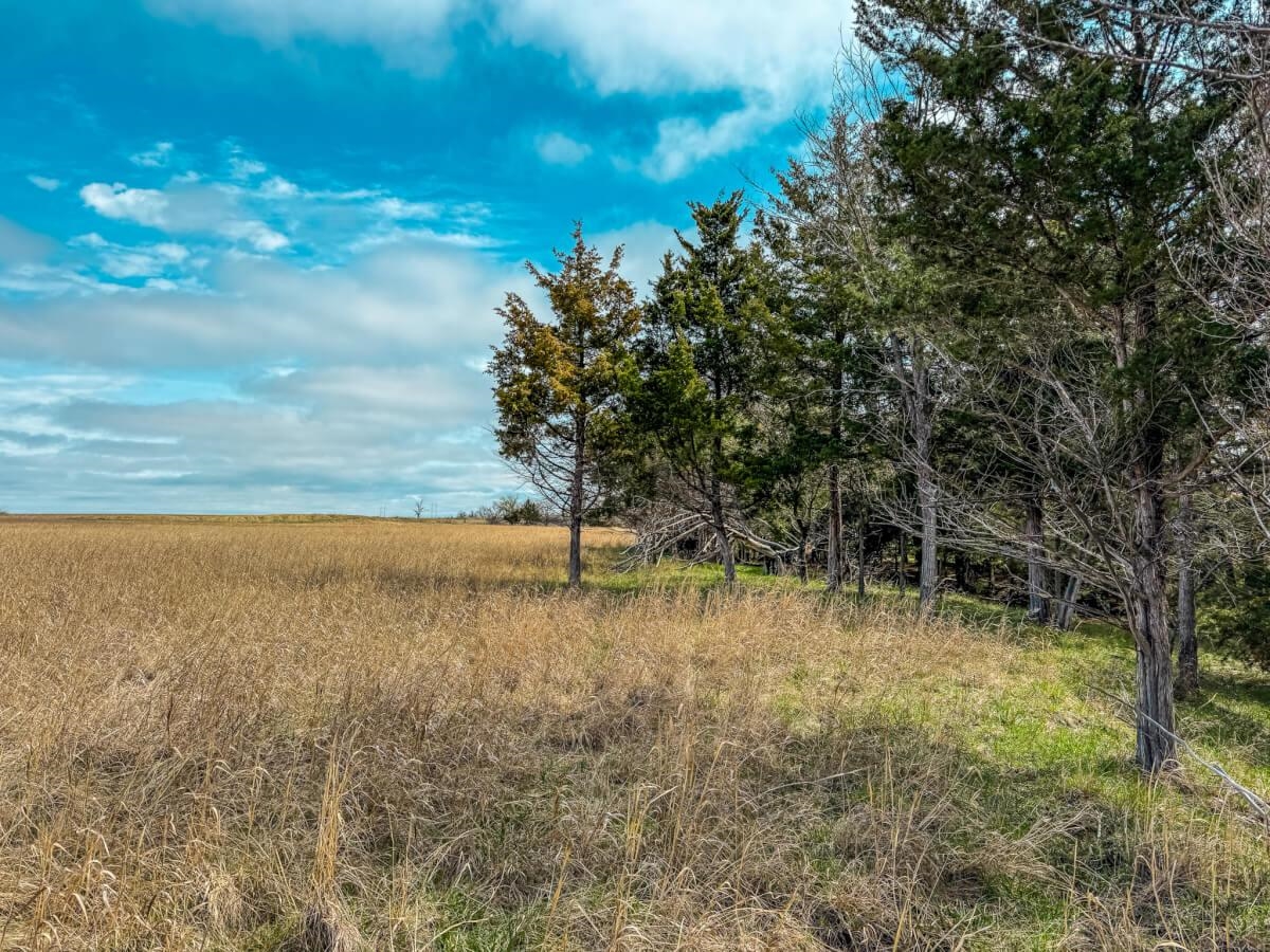1565 255th St, Hamilton, Kansas image 30