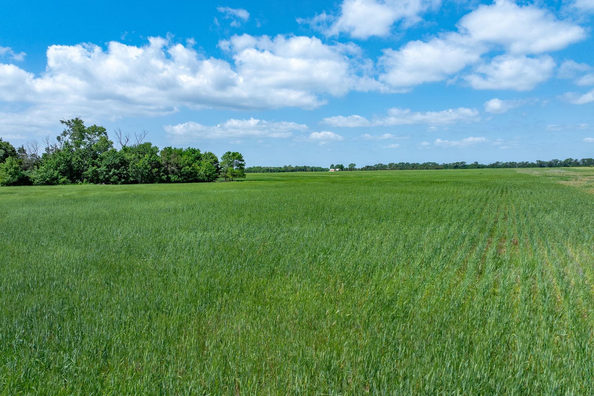 Lot 7 E Cedar Rust Estates, Goddard, Kansas image 6
