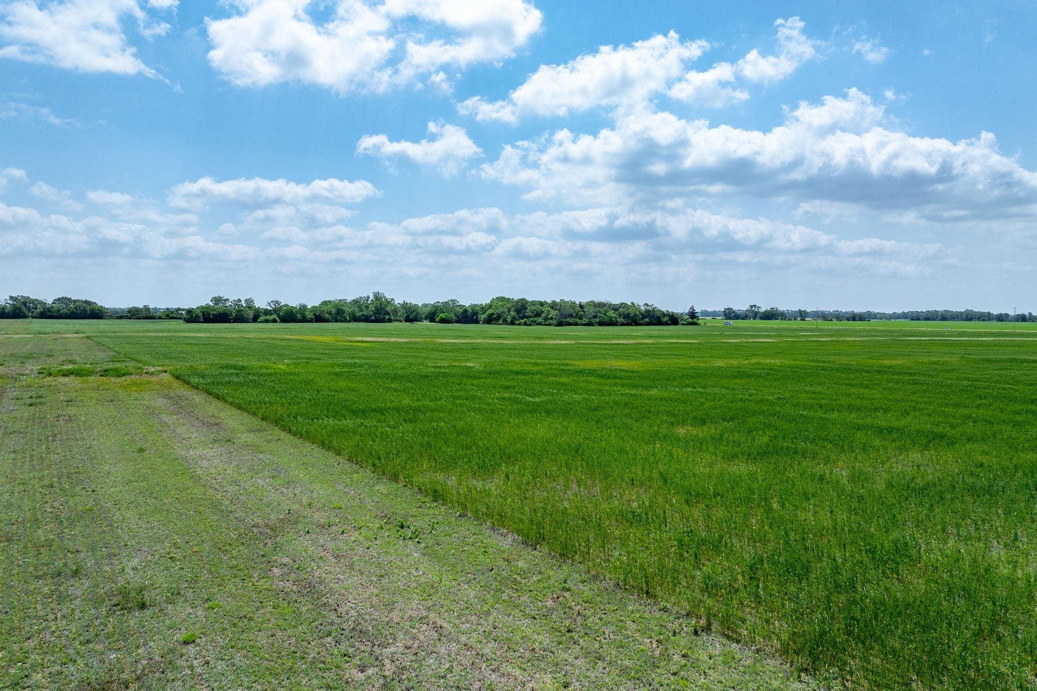 Lot 7 E Cedar Rust Estates, Goddard, Kansas image 7