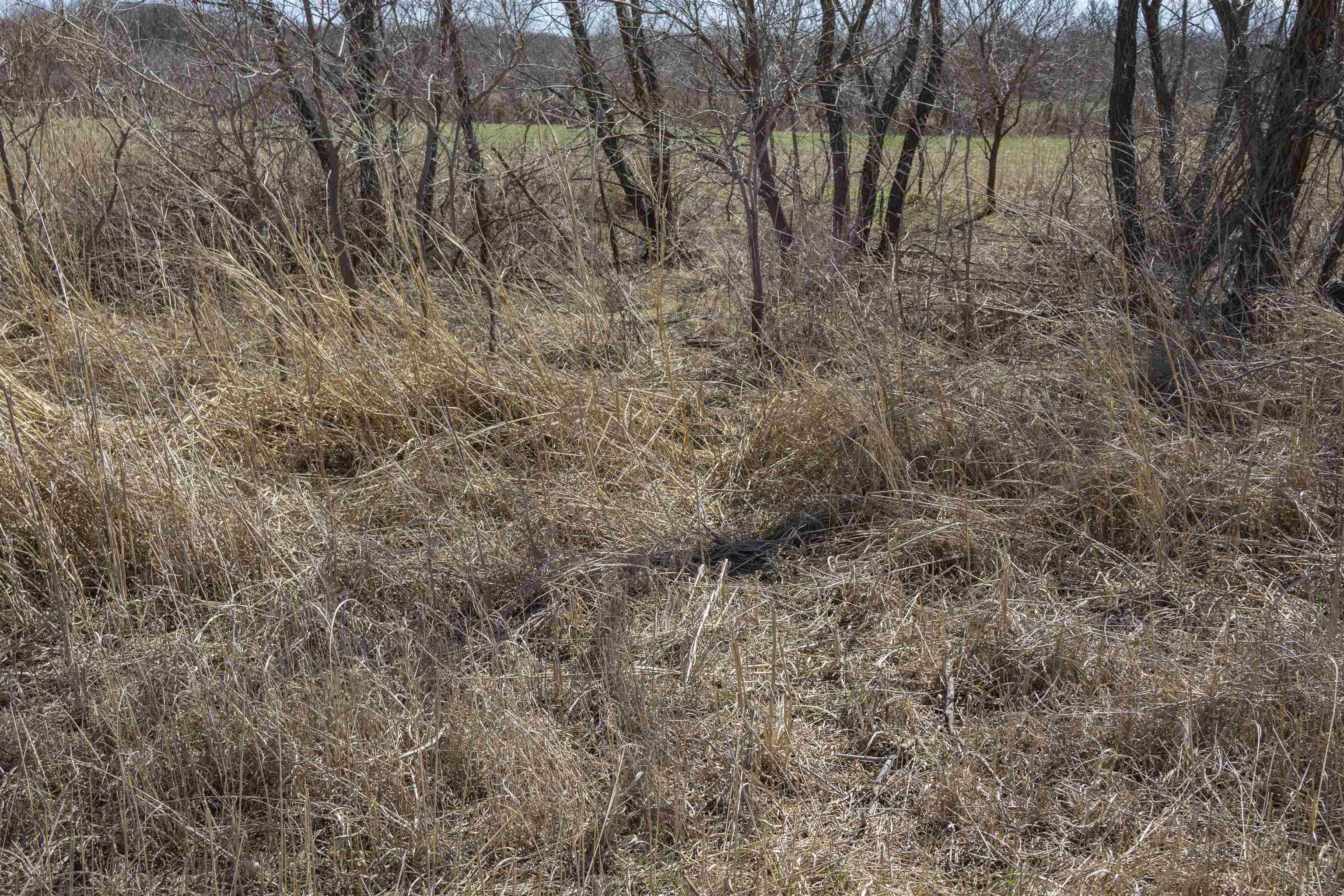 00000 S Meridian Rd, Wellington, Kansas image 24