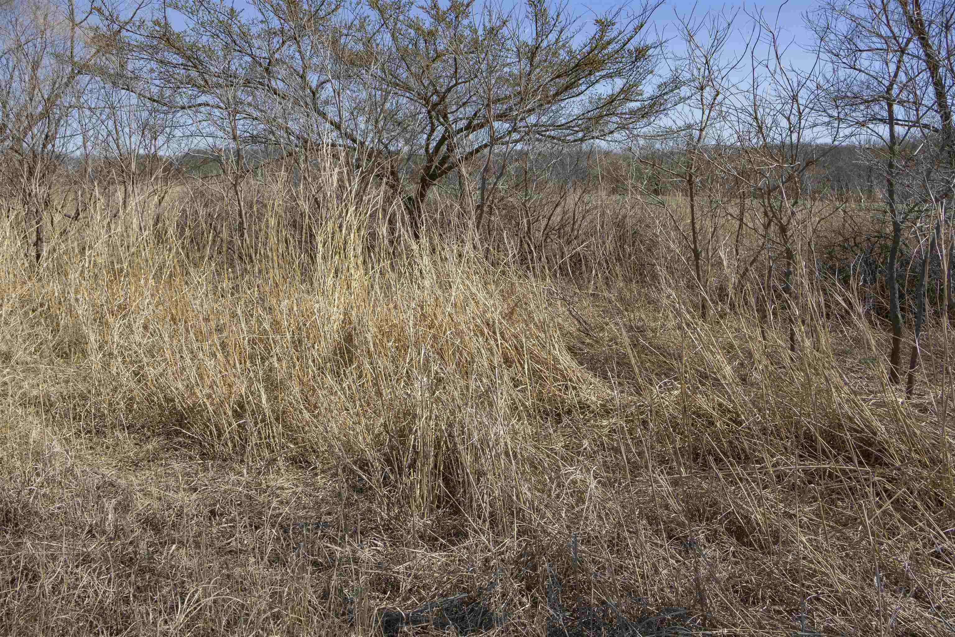00000 S Meridian Rd, Wellington, Kansas image 25