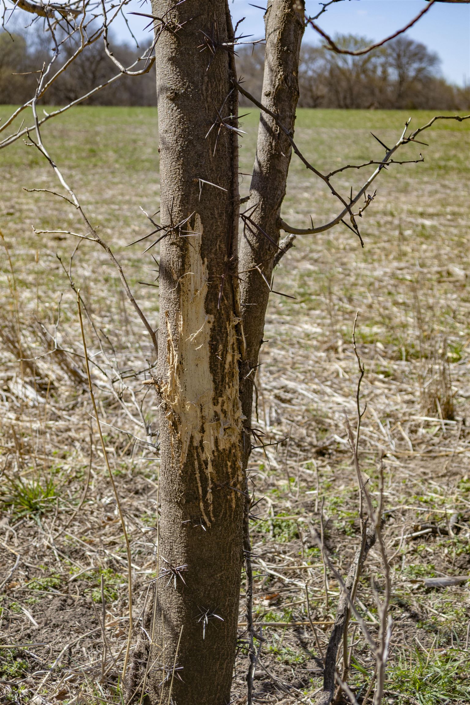 00000 S Meridian Rd, Wellington, Kansas image 22