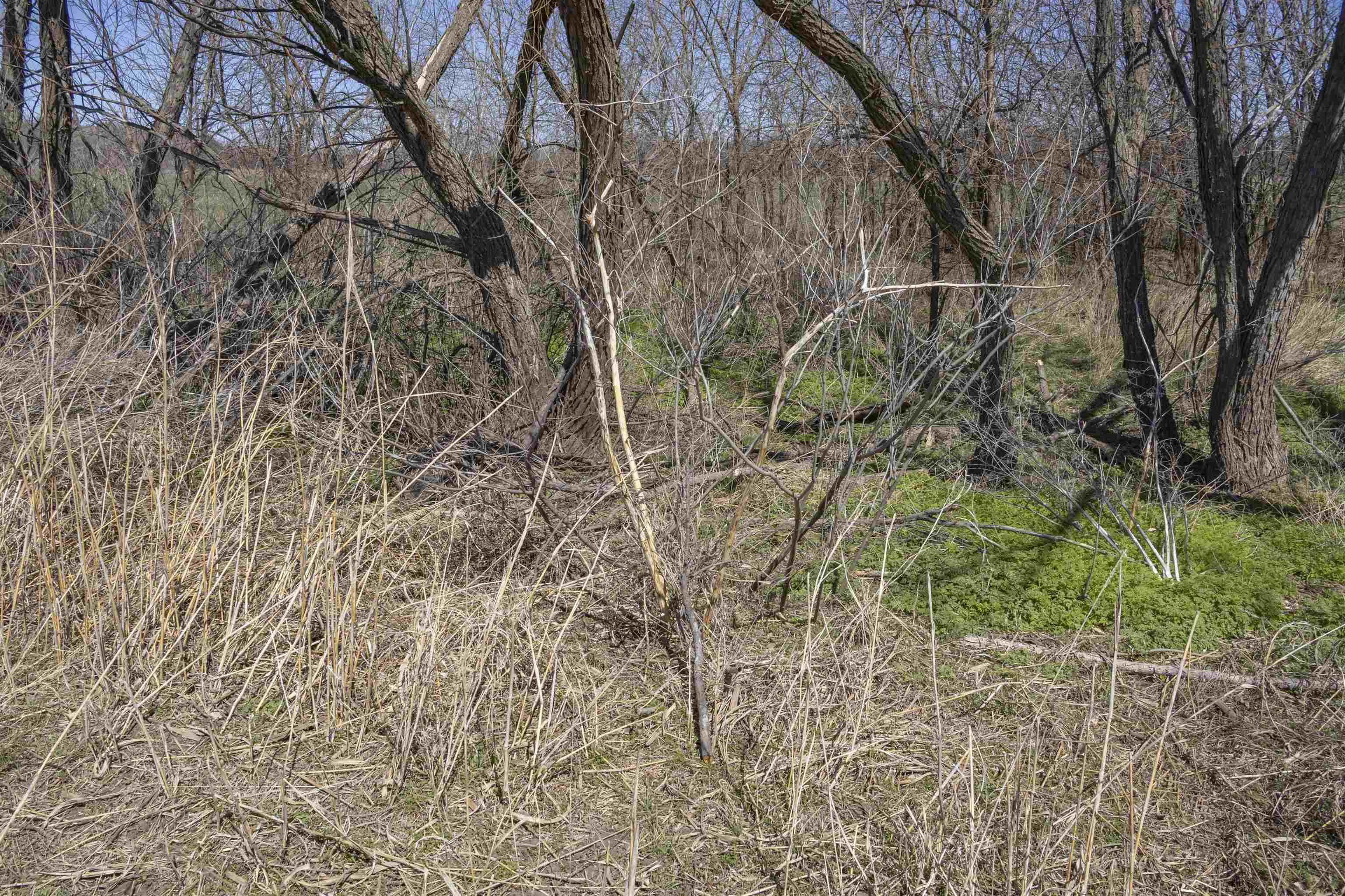 00000 S Meridian Rd, Wellington, Kansas image 26
