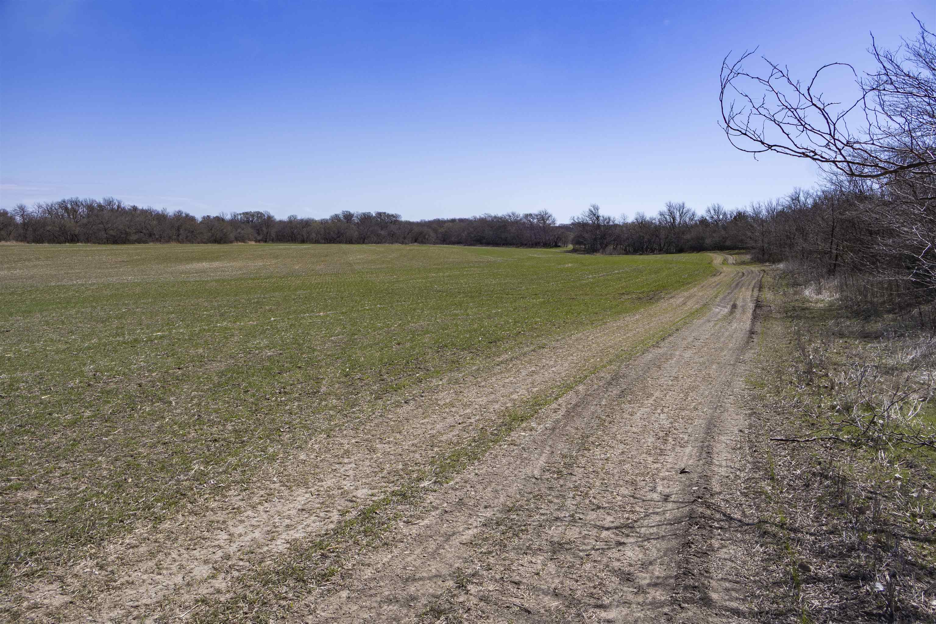 00000 S Meridian Rd, Wellington, Kansas image 5