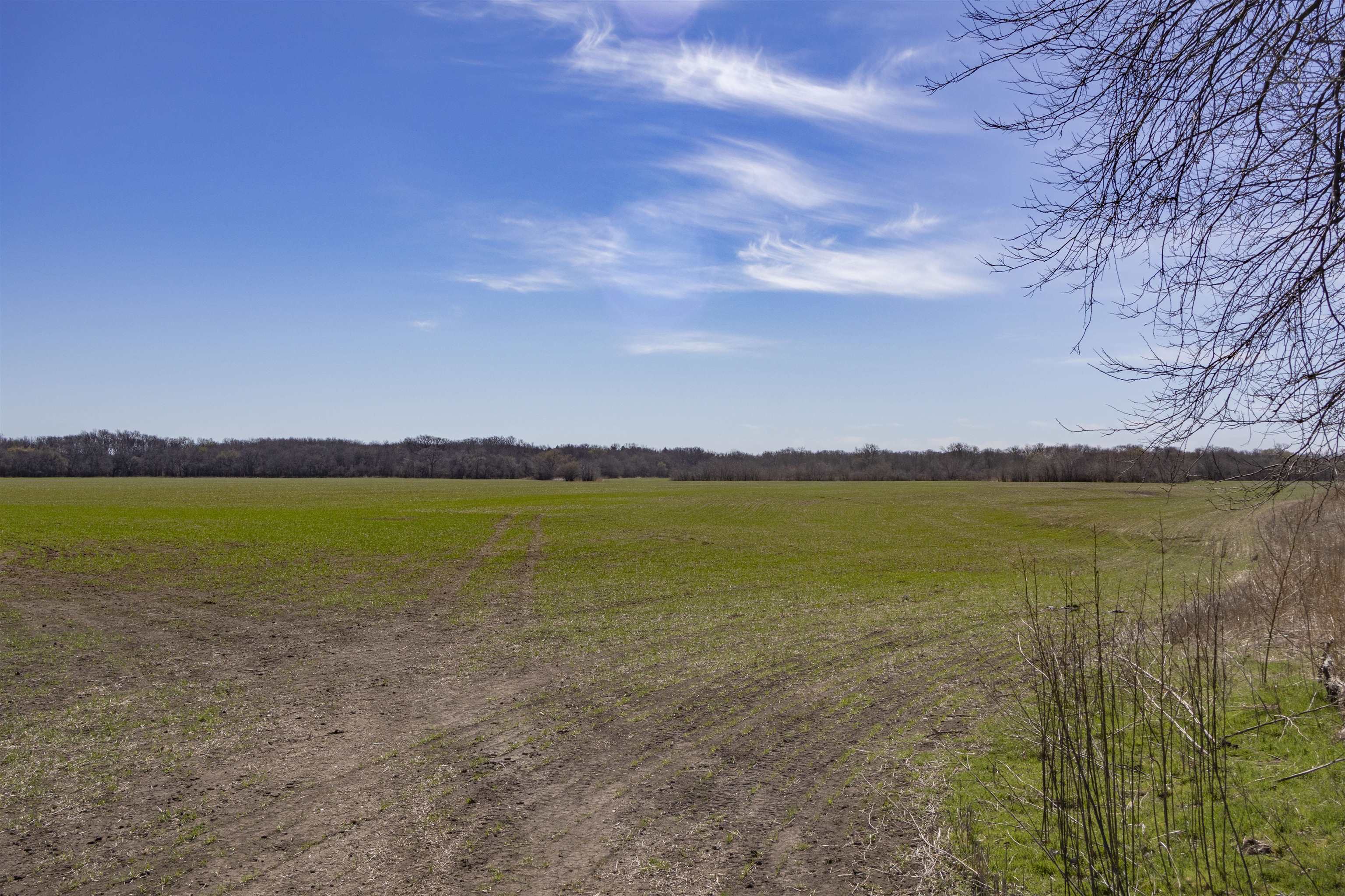 00000 S Meridian Rd, Wellington, Kansas image 7
