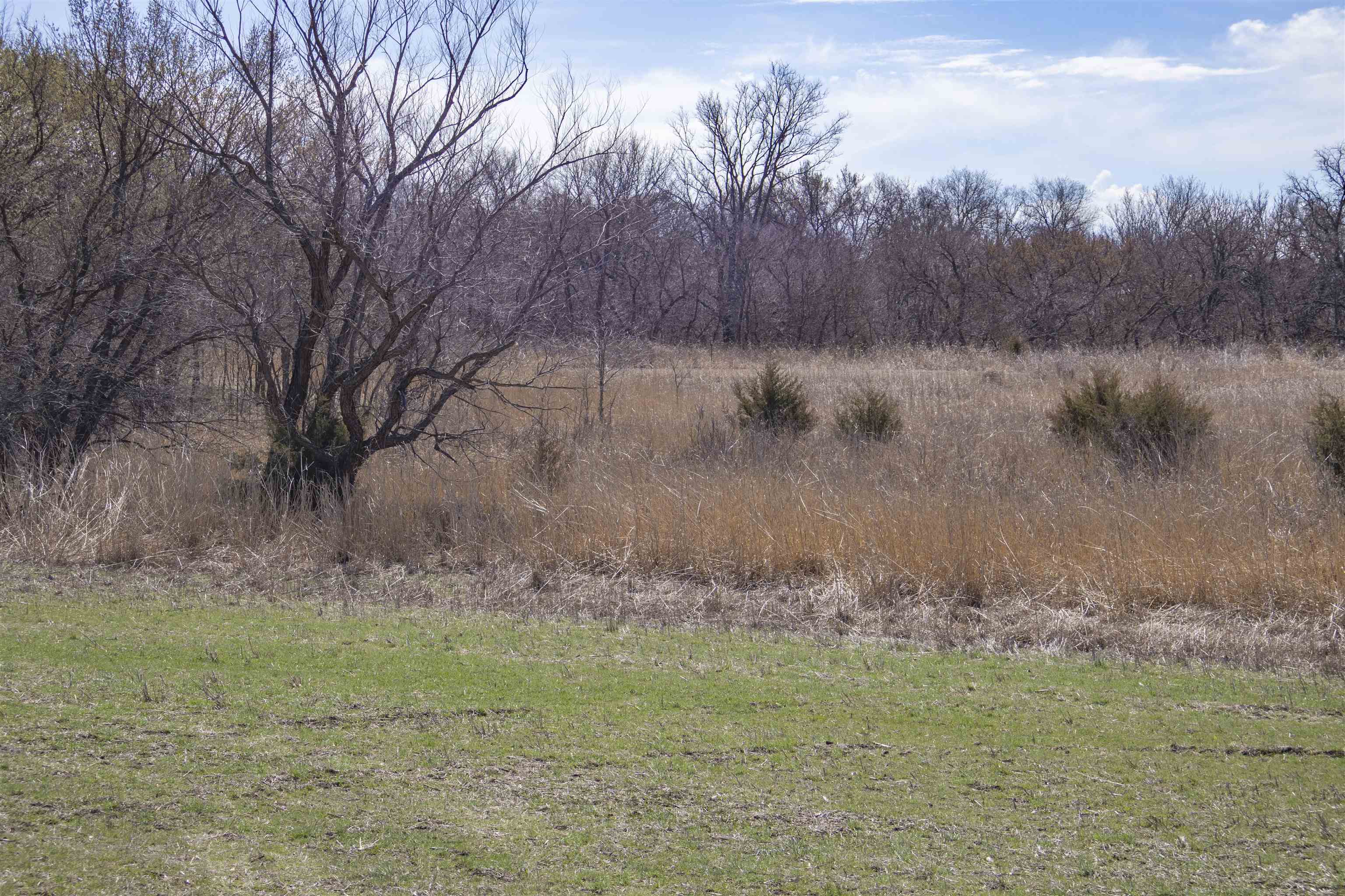 00000 S Meridian Rd, Wellington, Kansas image 23