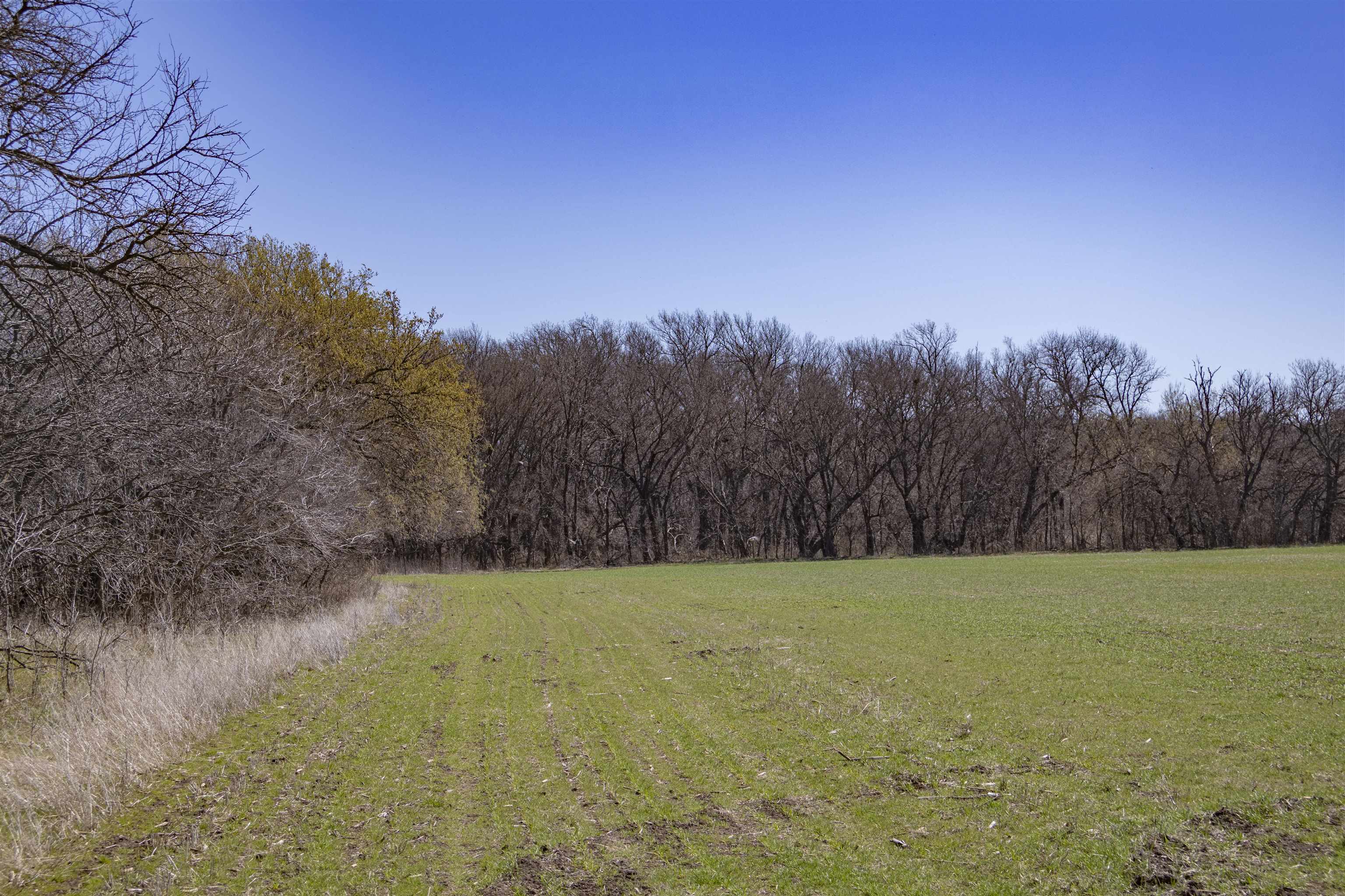 00000 S Meridian Rd, Wellington, Kansas image 10