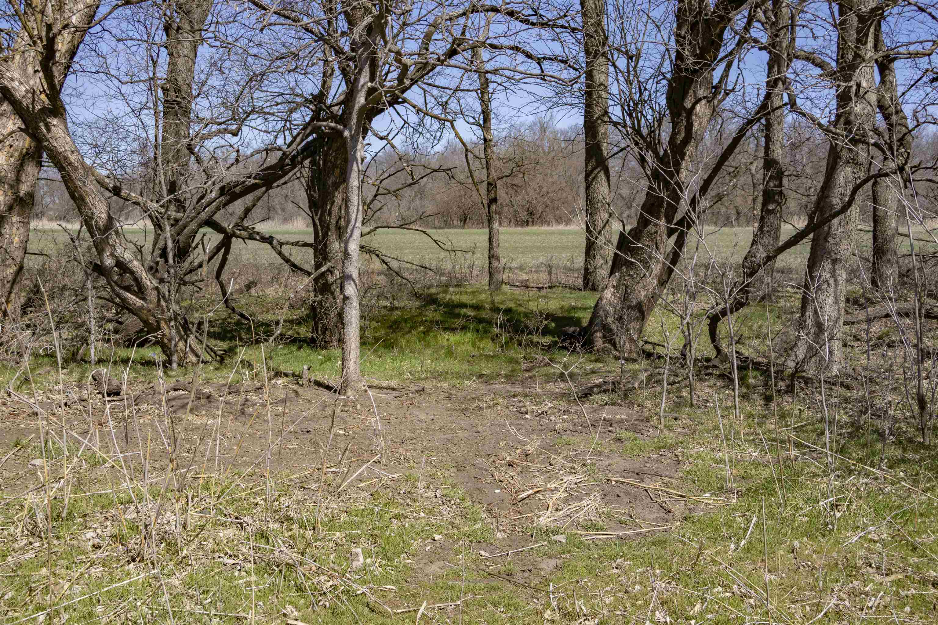 00000 S Meridian Rd, Wellington, Kansas image 9