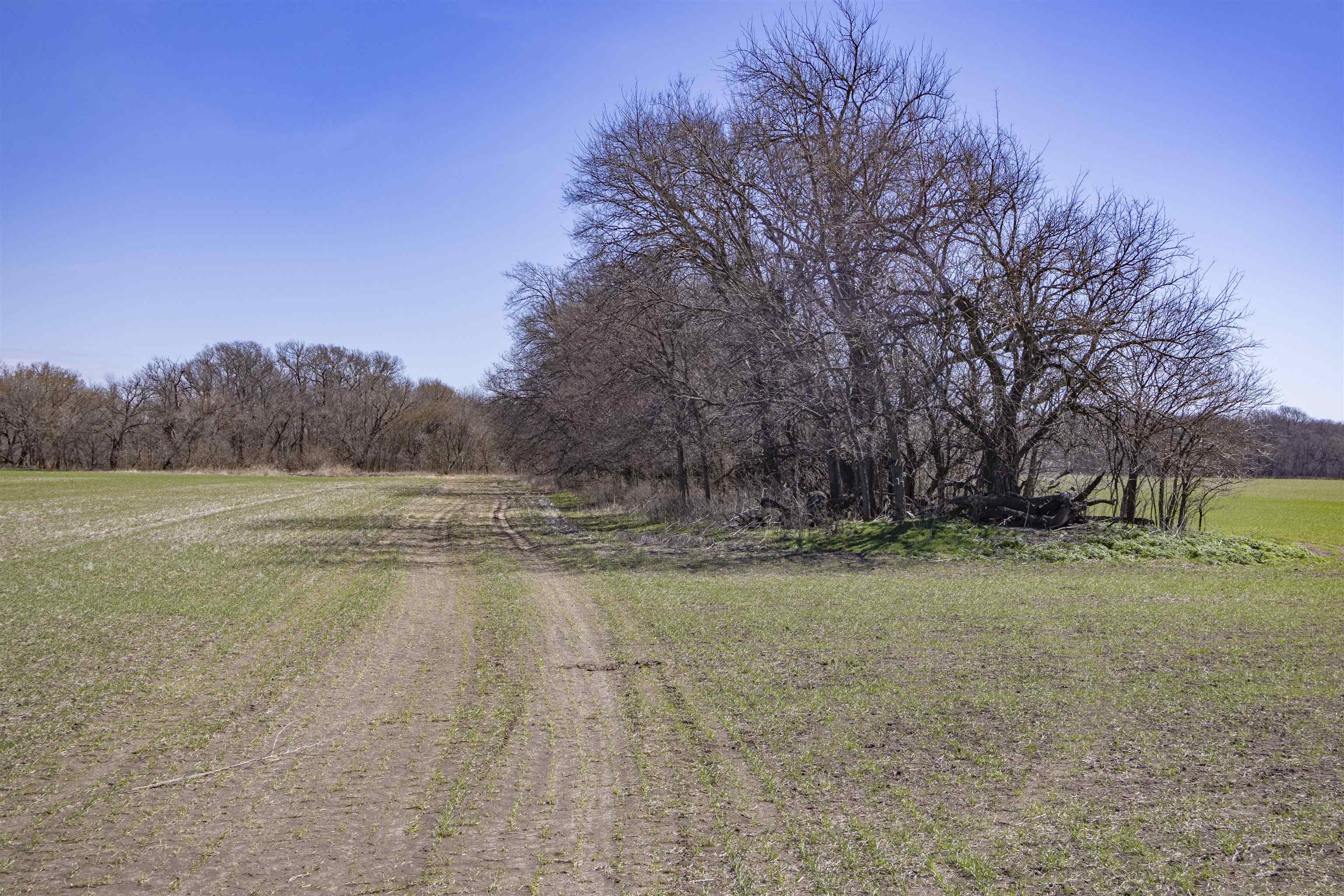 00000 S Meridian Rd, Wellington, Kansas image 8
