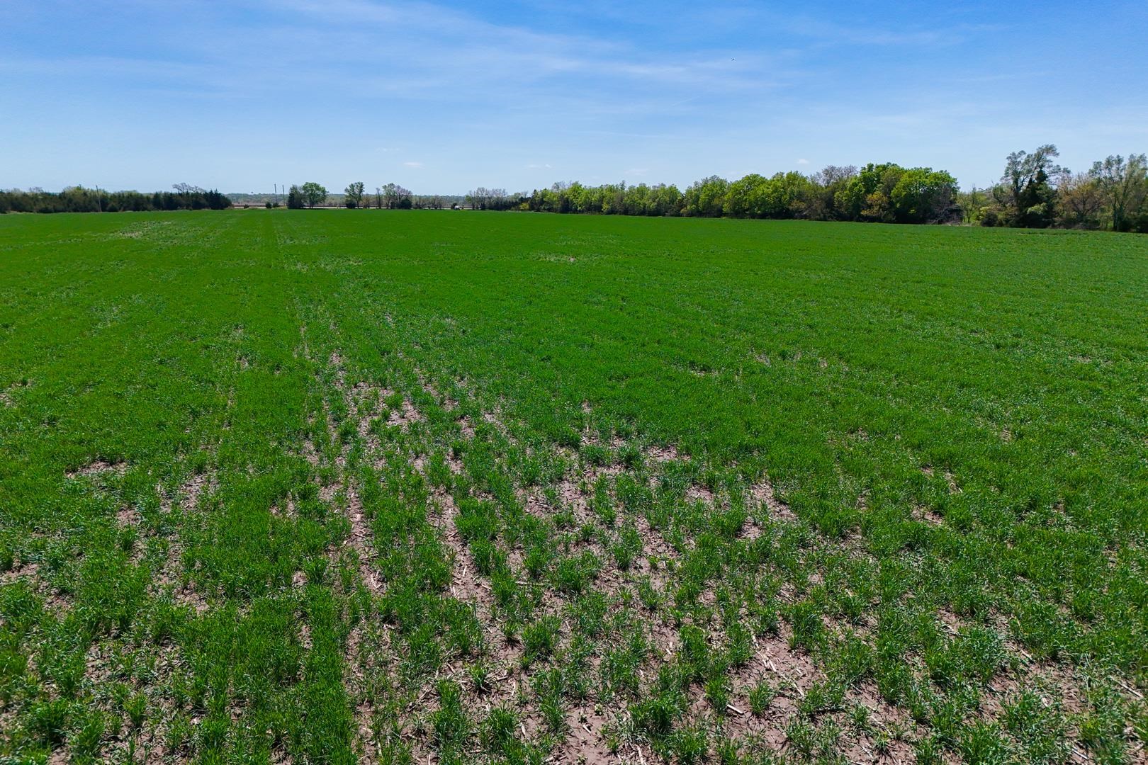 43.56+/- Acres SW Tawakoni Rd, Andover, Kansas image 8