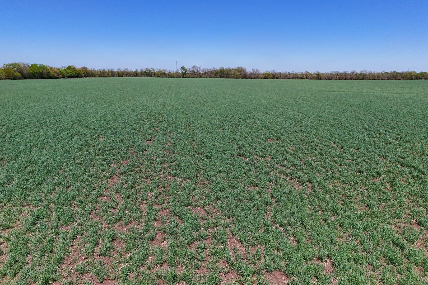 43.56+/- Acres SW Tawakoni Rd, Andover, Kansas image 5