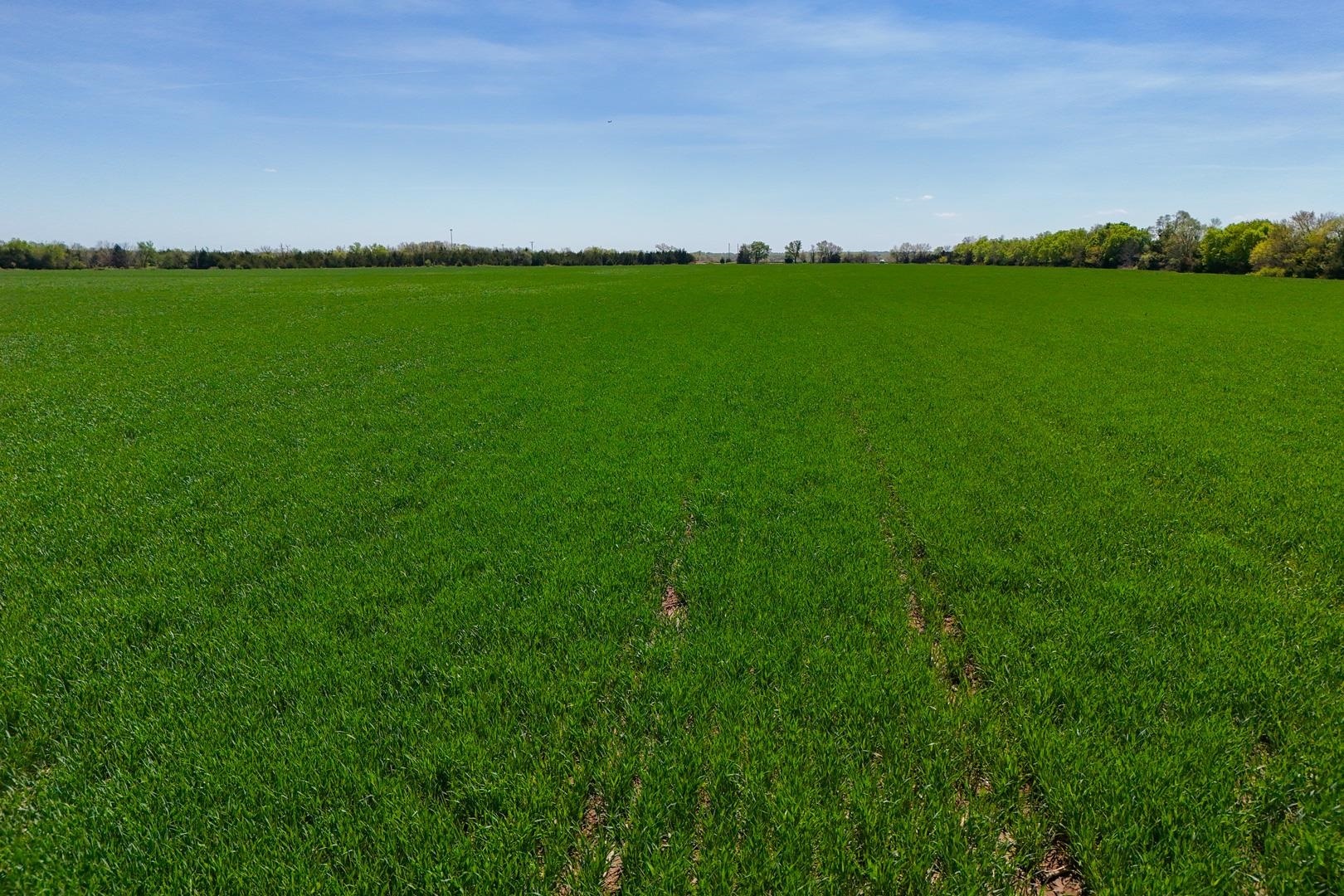 43.56+/- Acres SW Tawakoni Rd, Andover, Kansas image 11