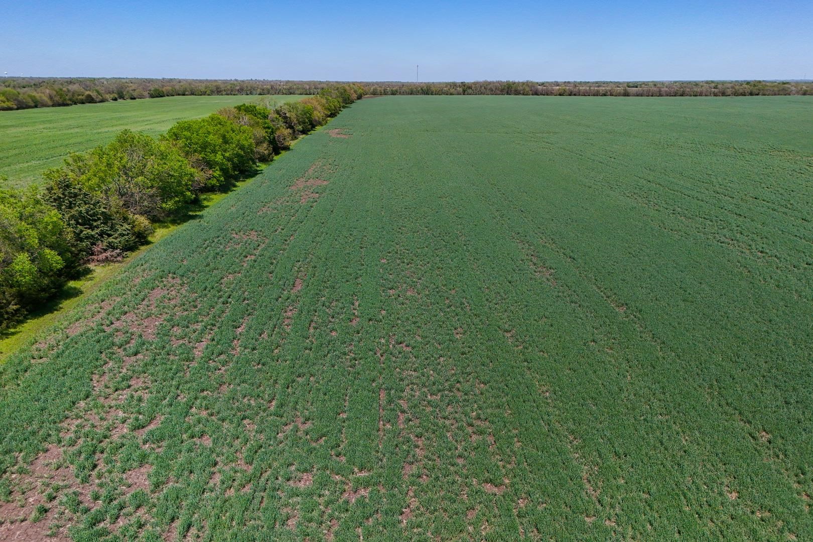 43.56+/- Acres SW Tawakoni Rd, Andover, Kansas image 18