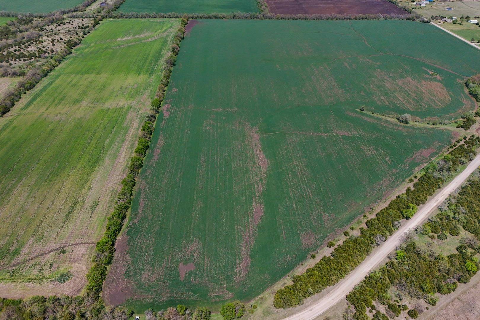 43.56+/- Acres SW Tawakoni Rd, Andover, Kansas image 2